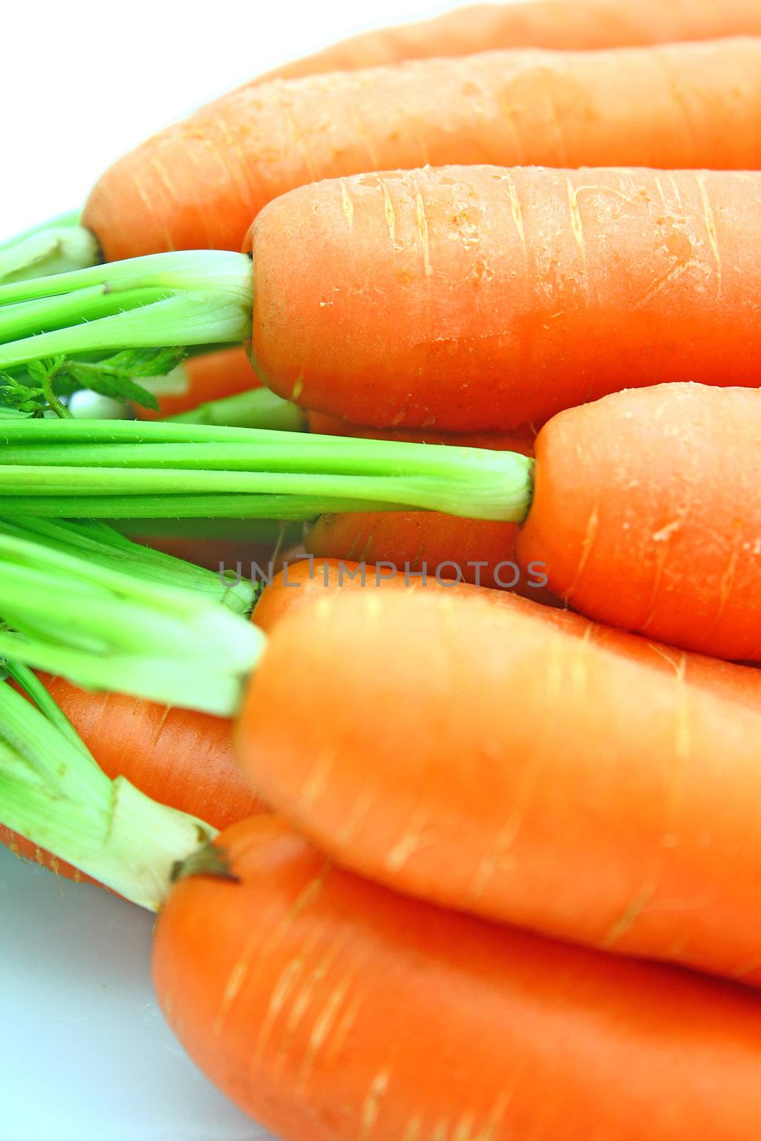 Carrots