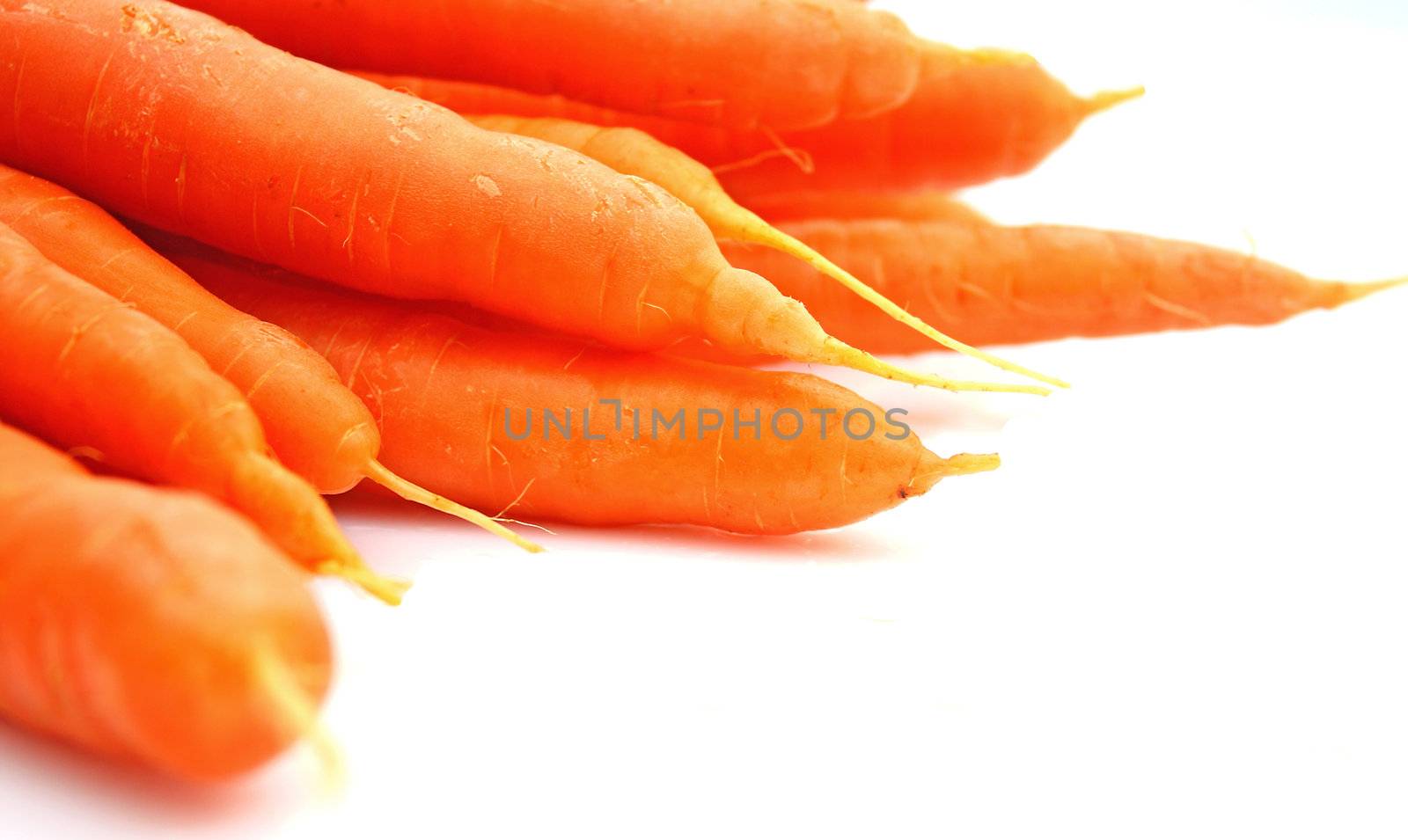 Carrots by juweber