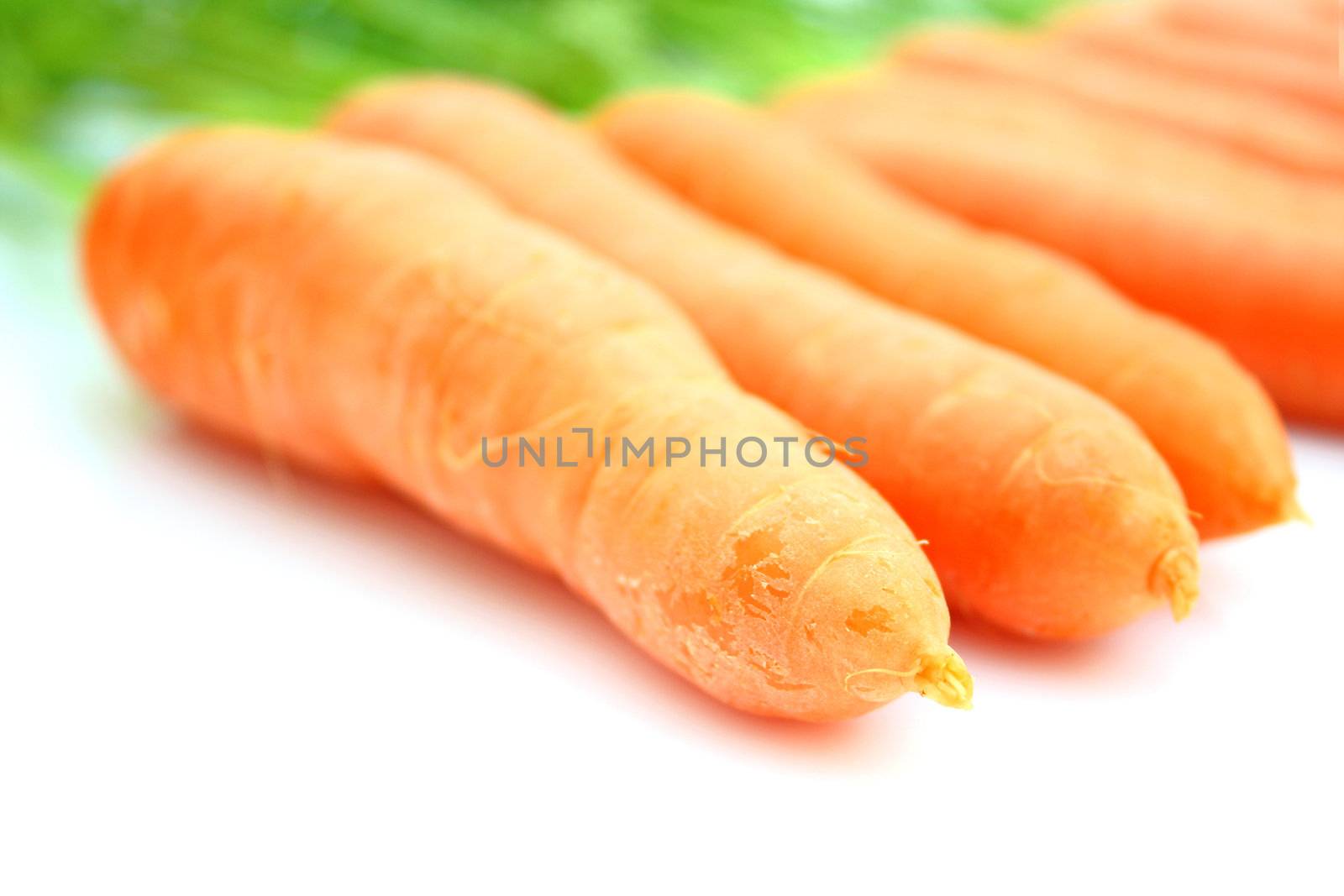 Carrots by juweber