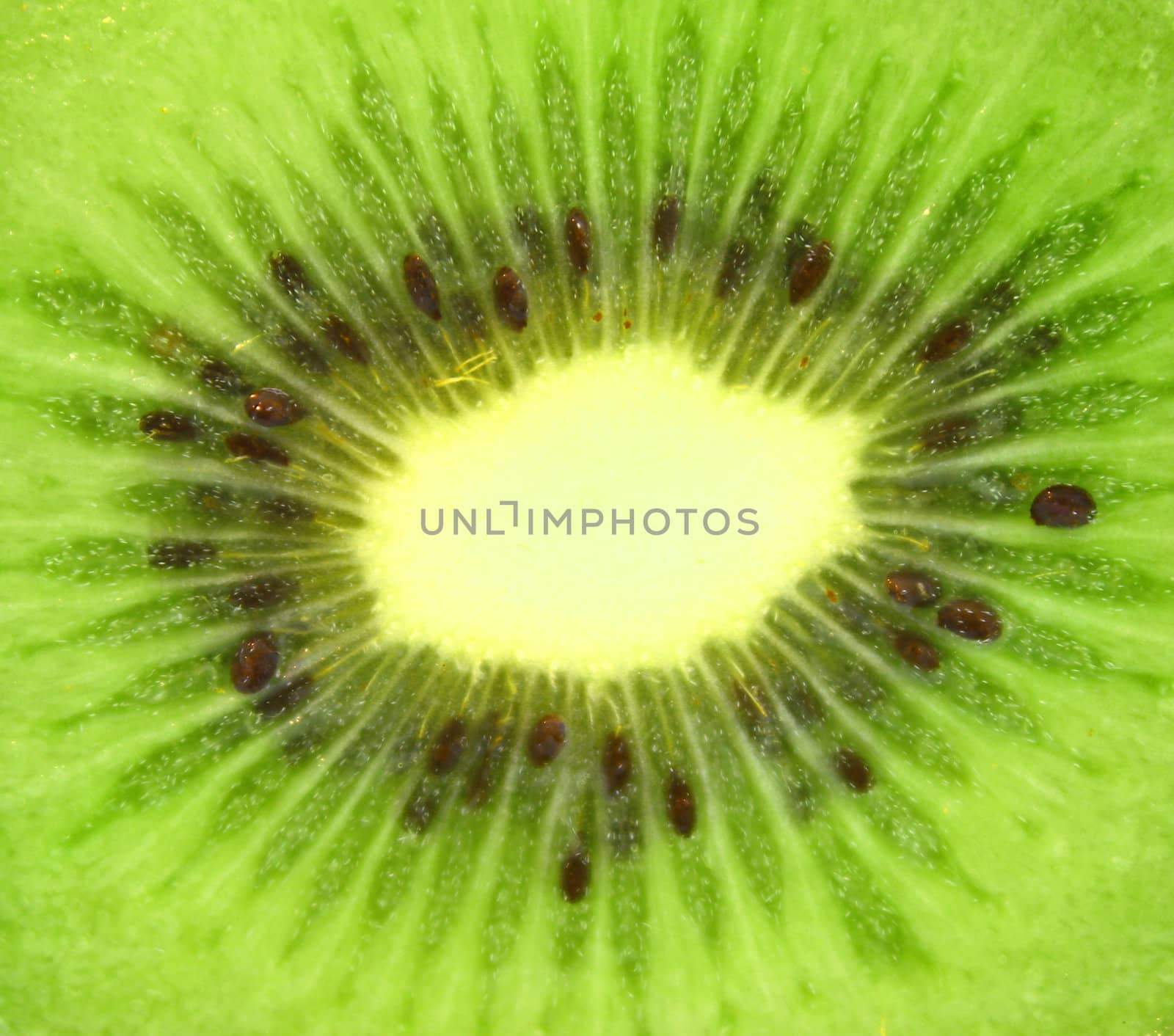 Kiwi,