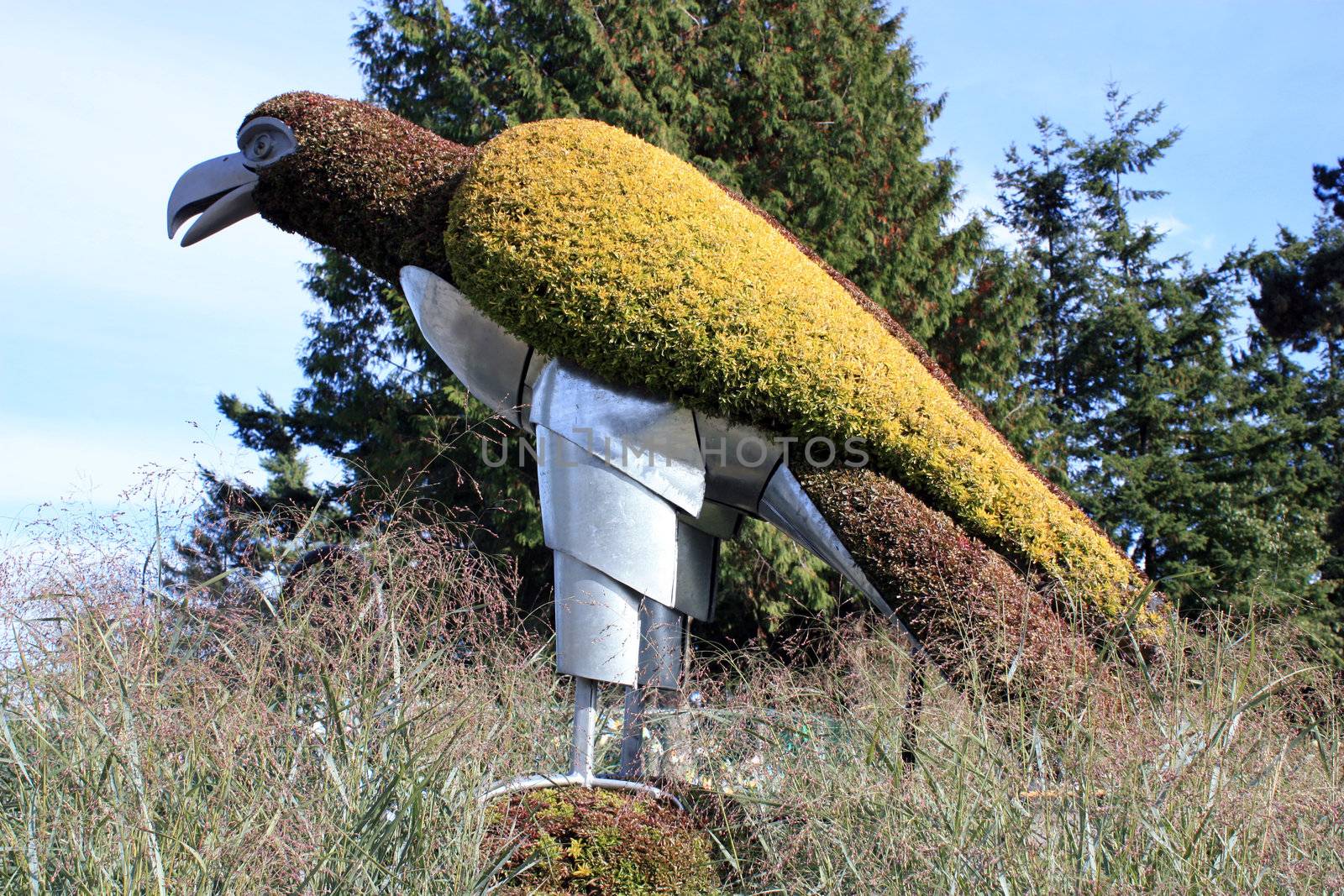 Topiary Sculpture Of An Eagle by mmgphoto