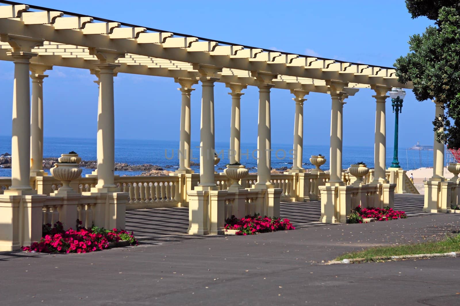 view of the ocean