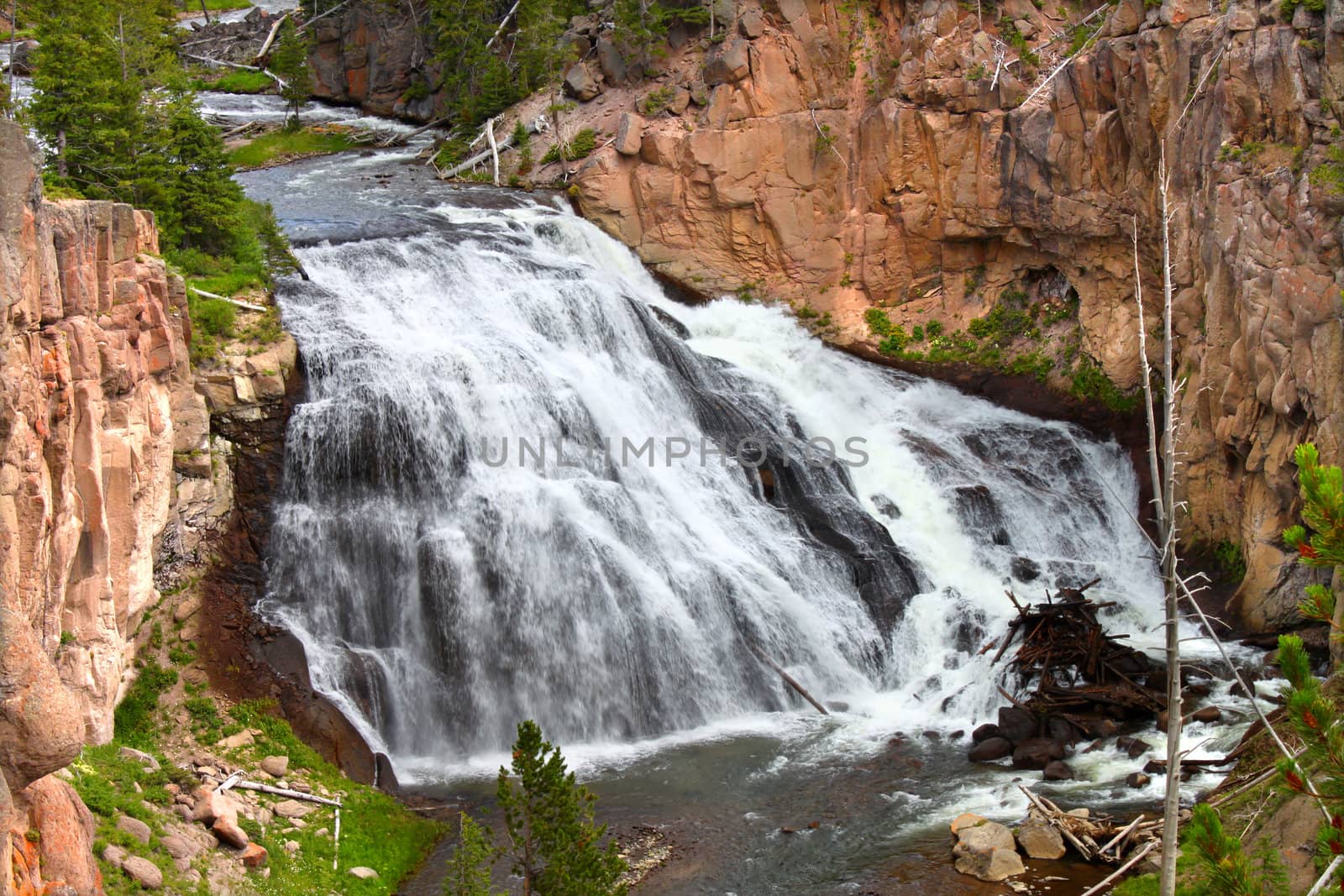 Gibbon Falls lows through the canyons of Yellowstone National Park in the United States.