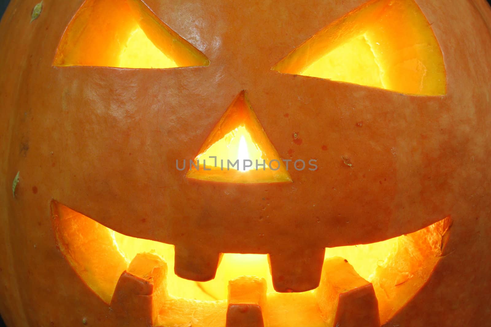 face of halloween pumpkin by furzyk73