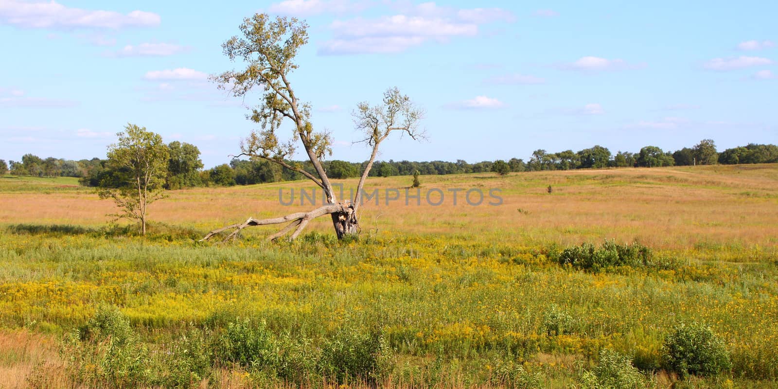 Nachusa Grasslands - Illinois by Wirepec