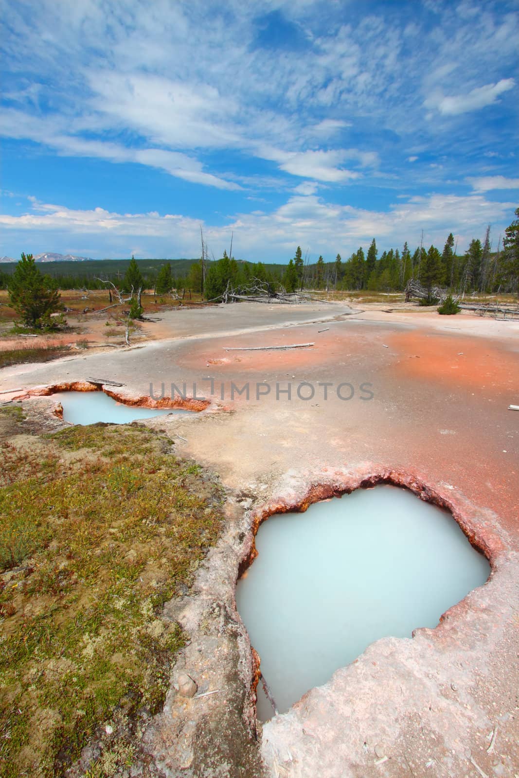 Artist Paint Pots - Yellowstone by Wirepec