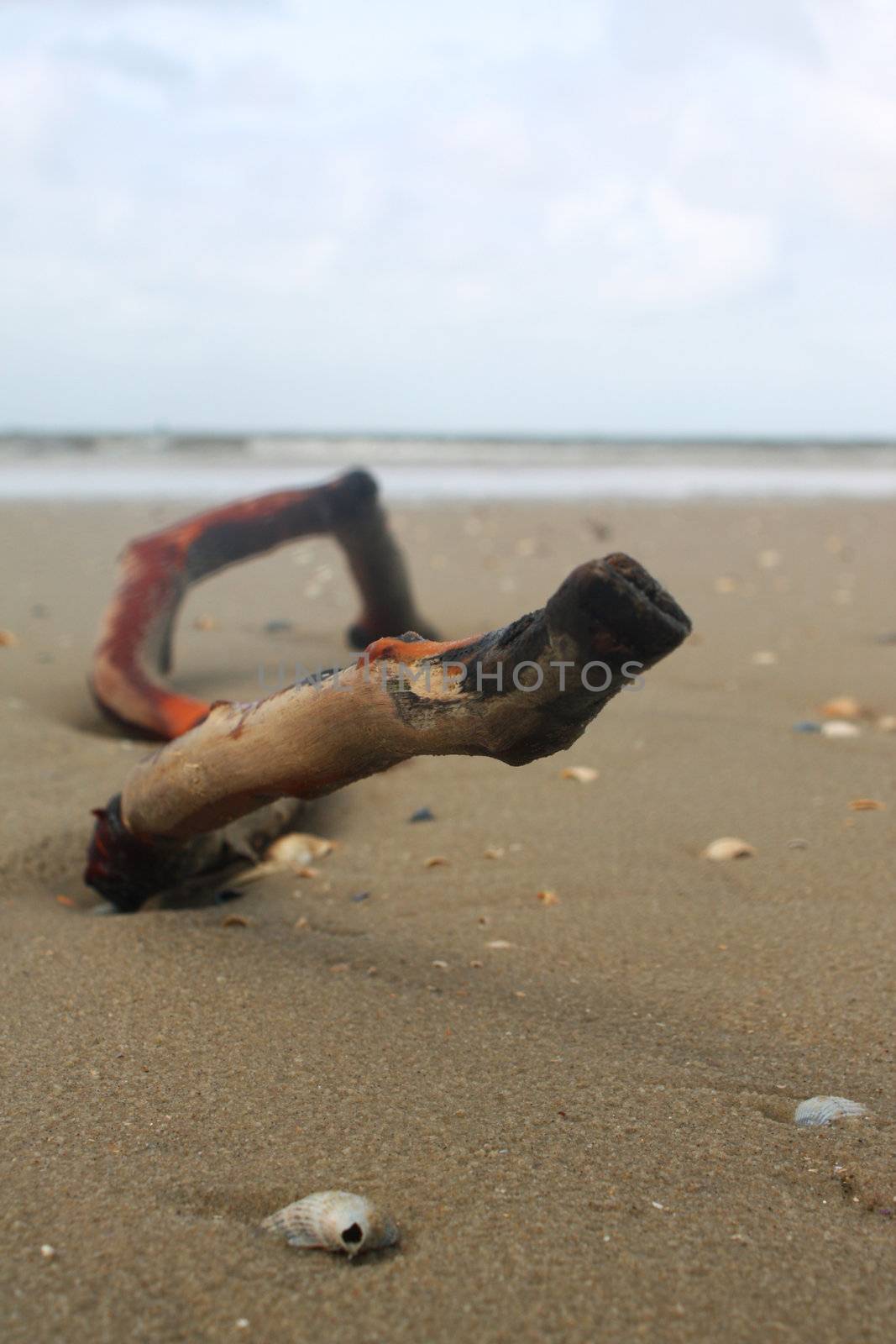 Beach by juweber