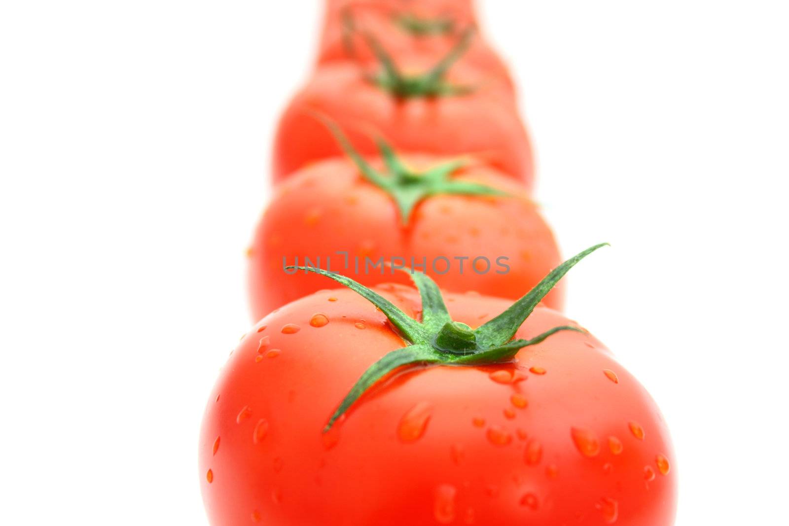 Tomatos by juweber