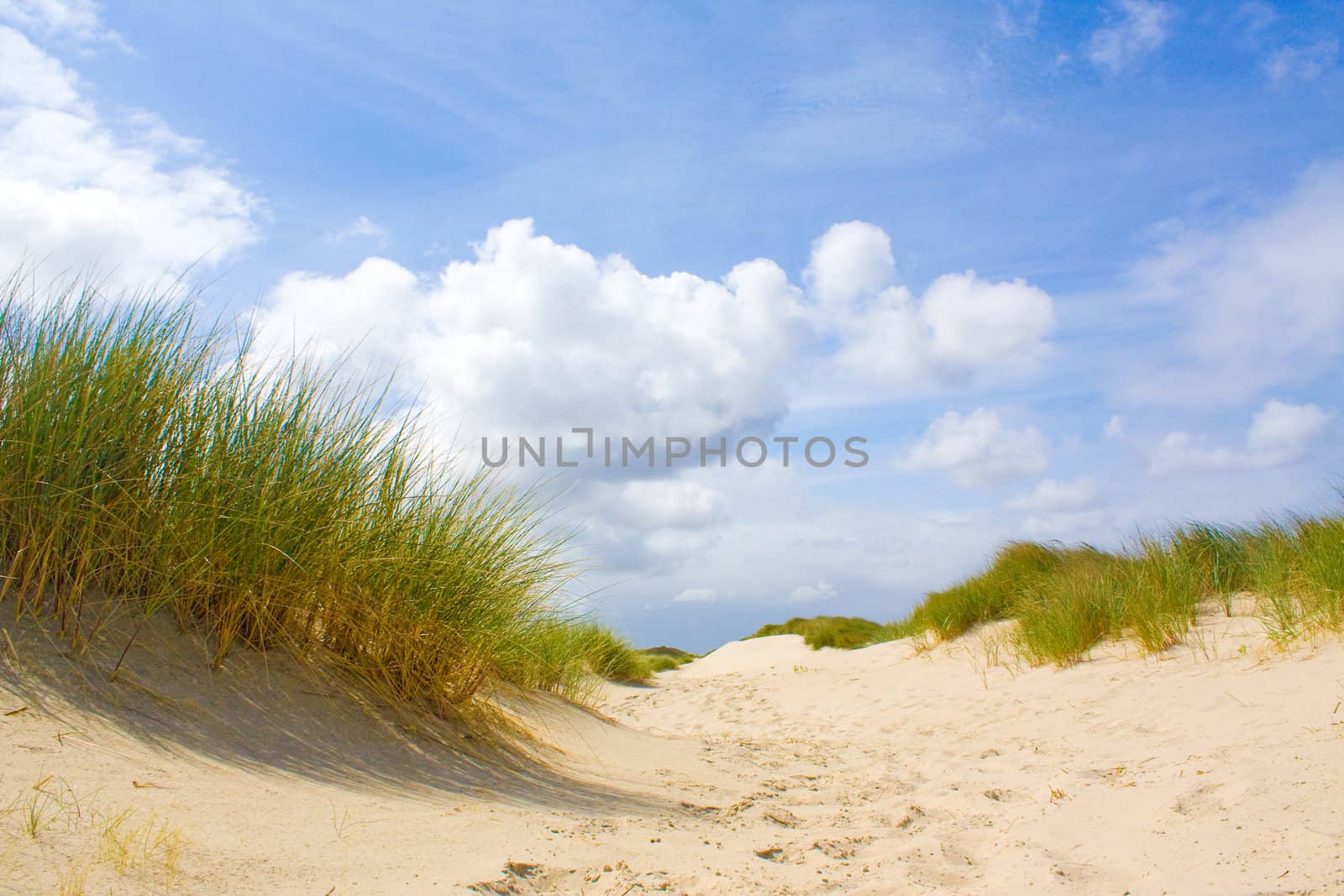 Dunes by juweber