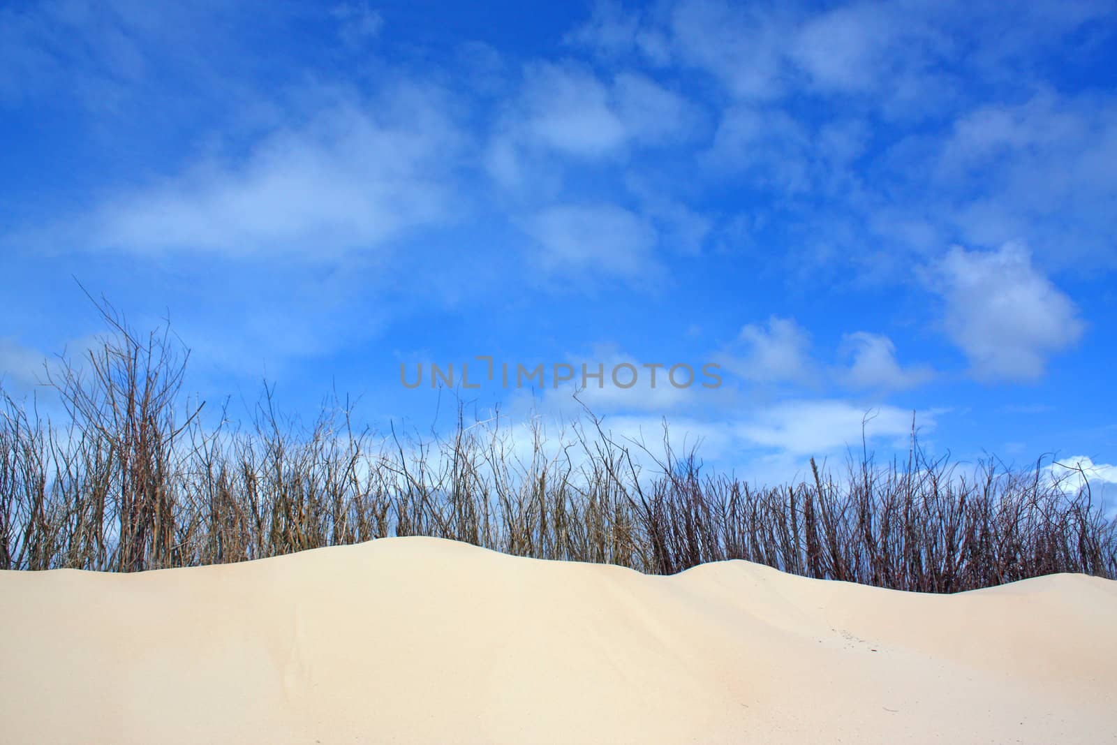 Dunes by juweber