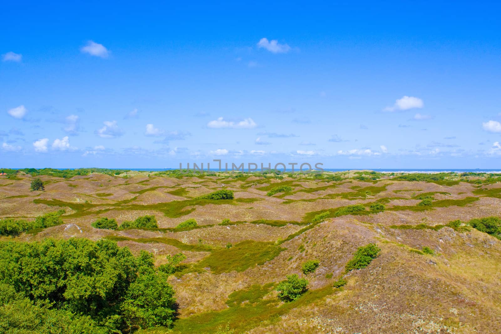 Dunes by juweber