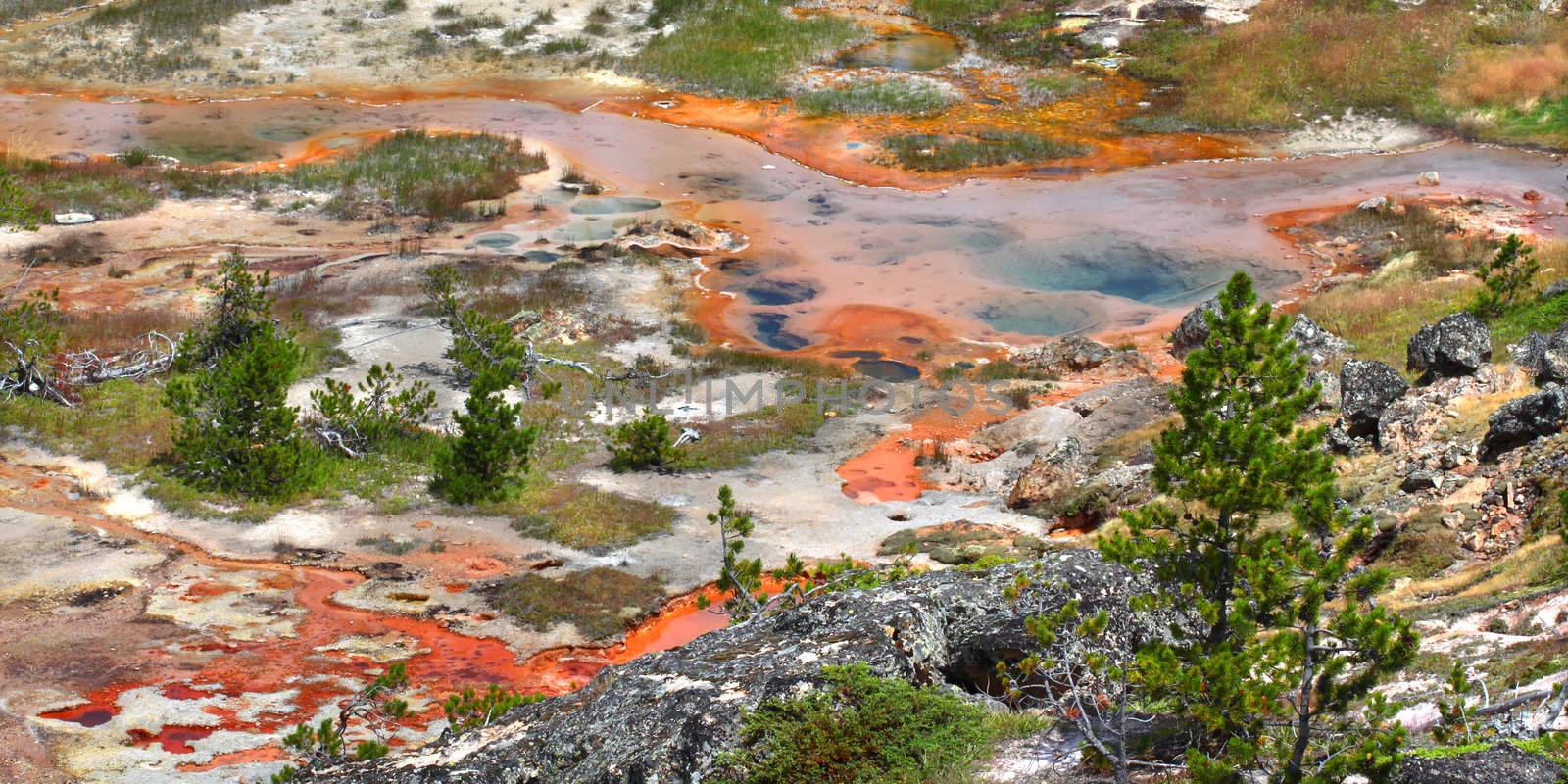 Artist Paint Pots - Yellowstone by Wirepec