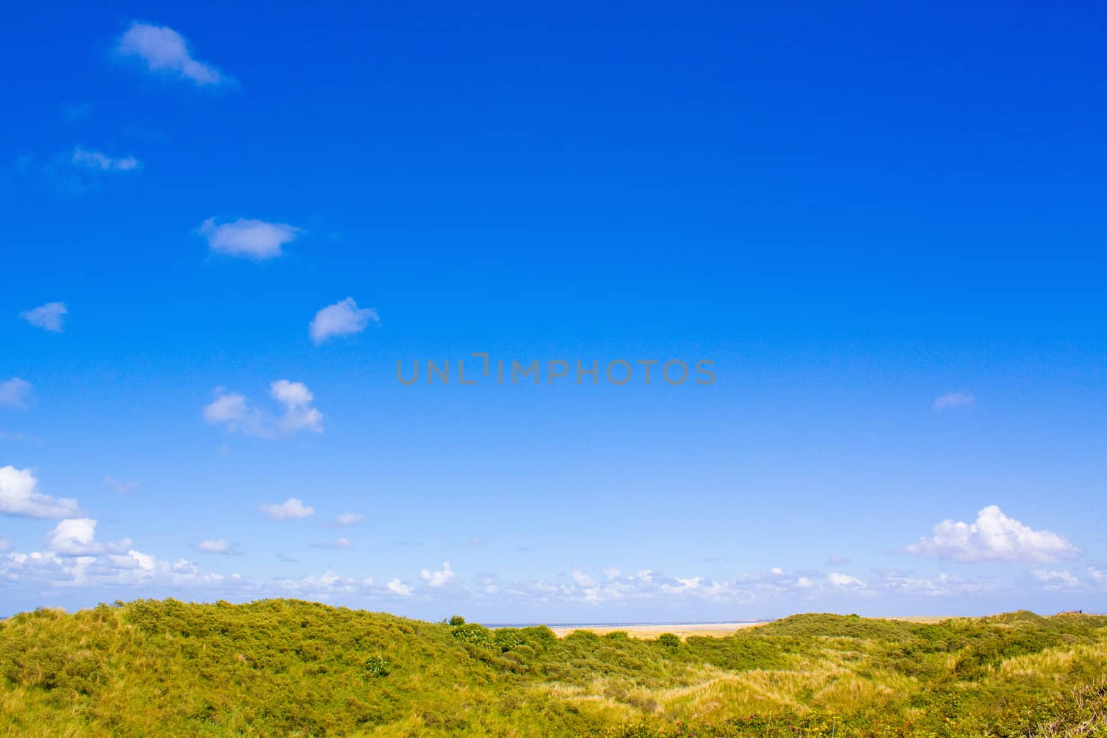 Dunes by juweber