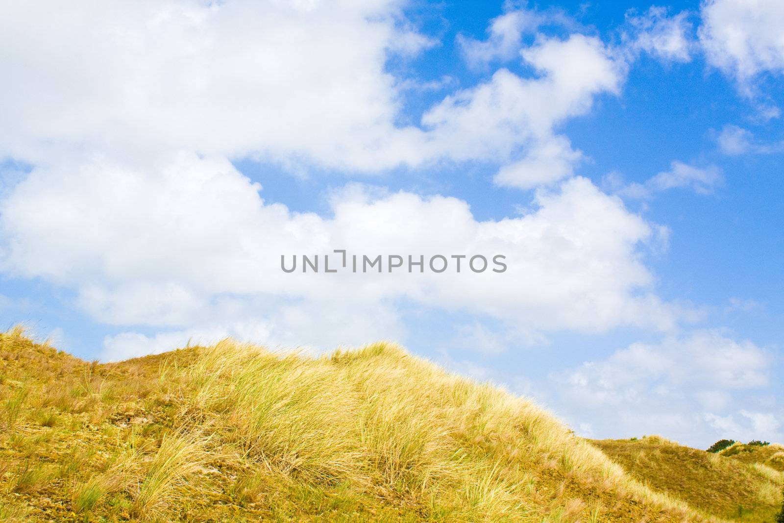 Dunes by juweber