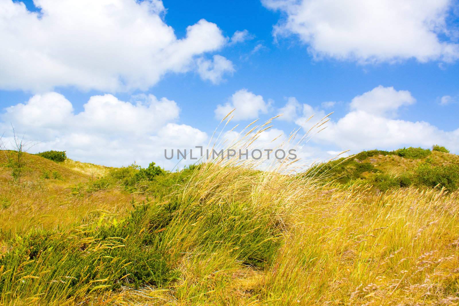 Dunes by juweber