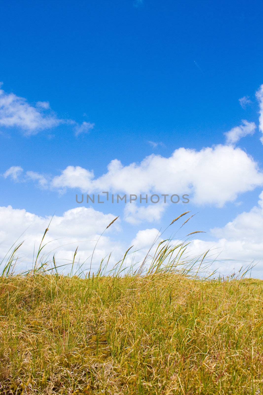 Dunes by juweber