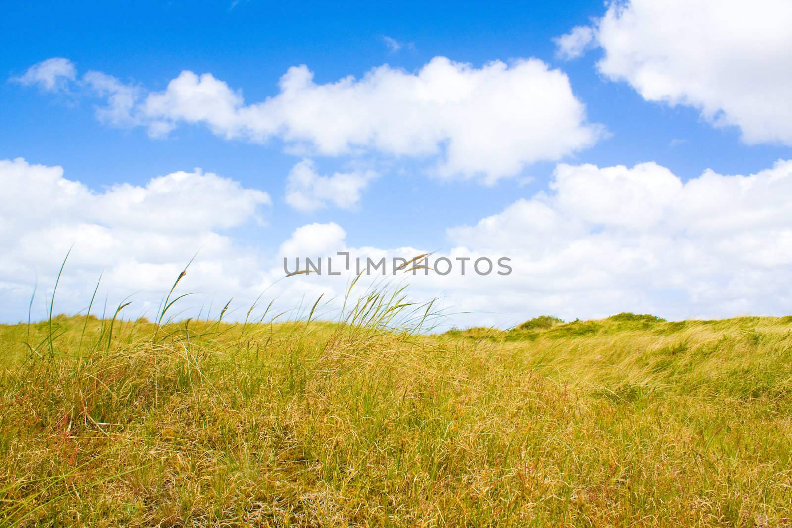 Dunes by juweber