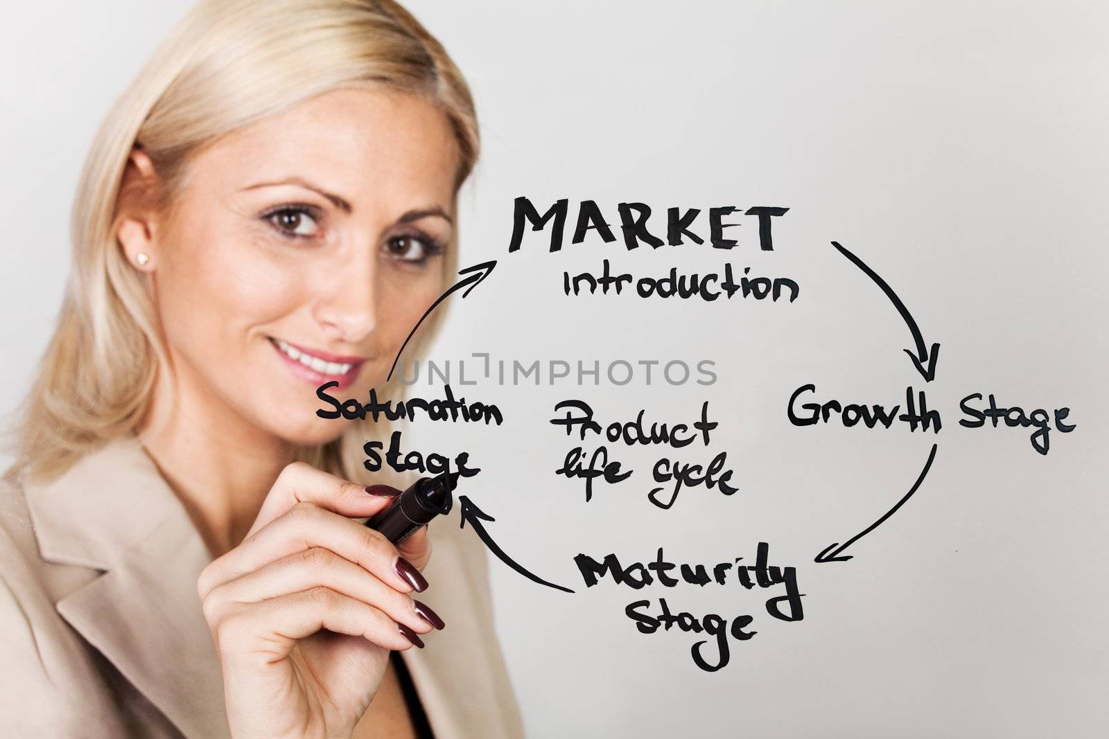Businesswoman drawing product lifecycle diagram on the sceeen