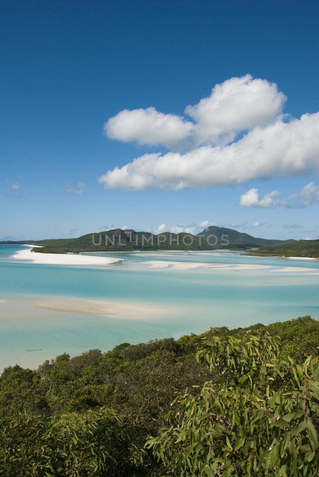 A stunning view of Whitehaven Beach in the Whitsunday Islands