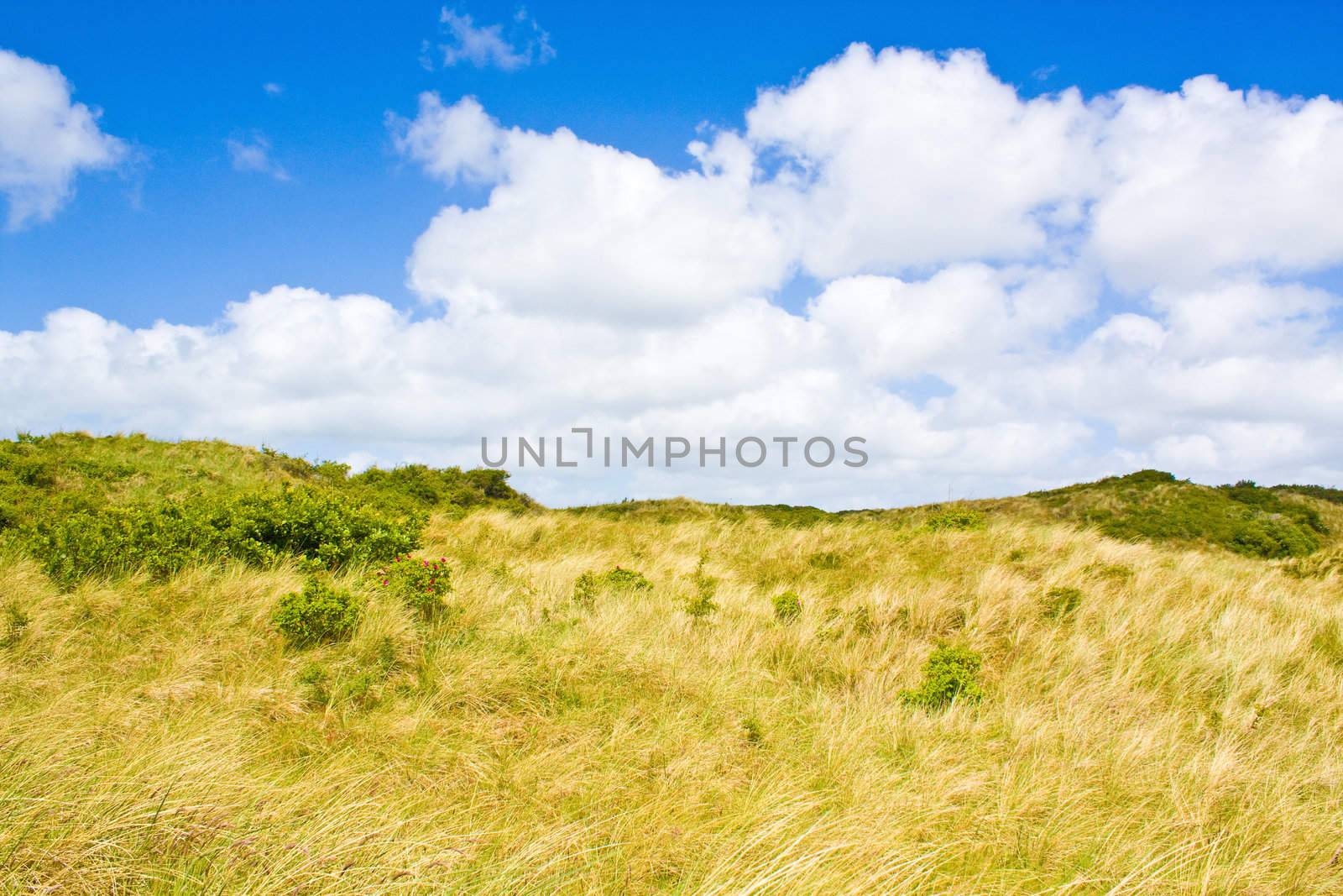 Dunes by juweber