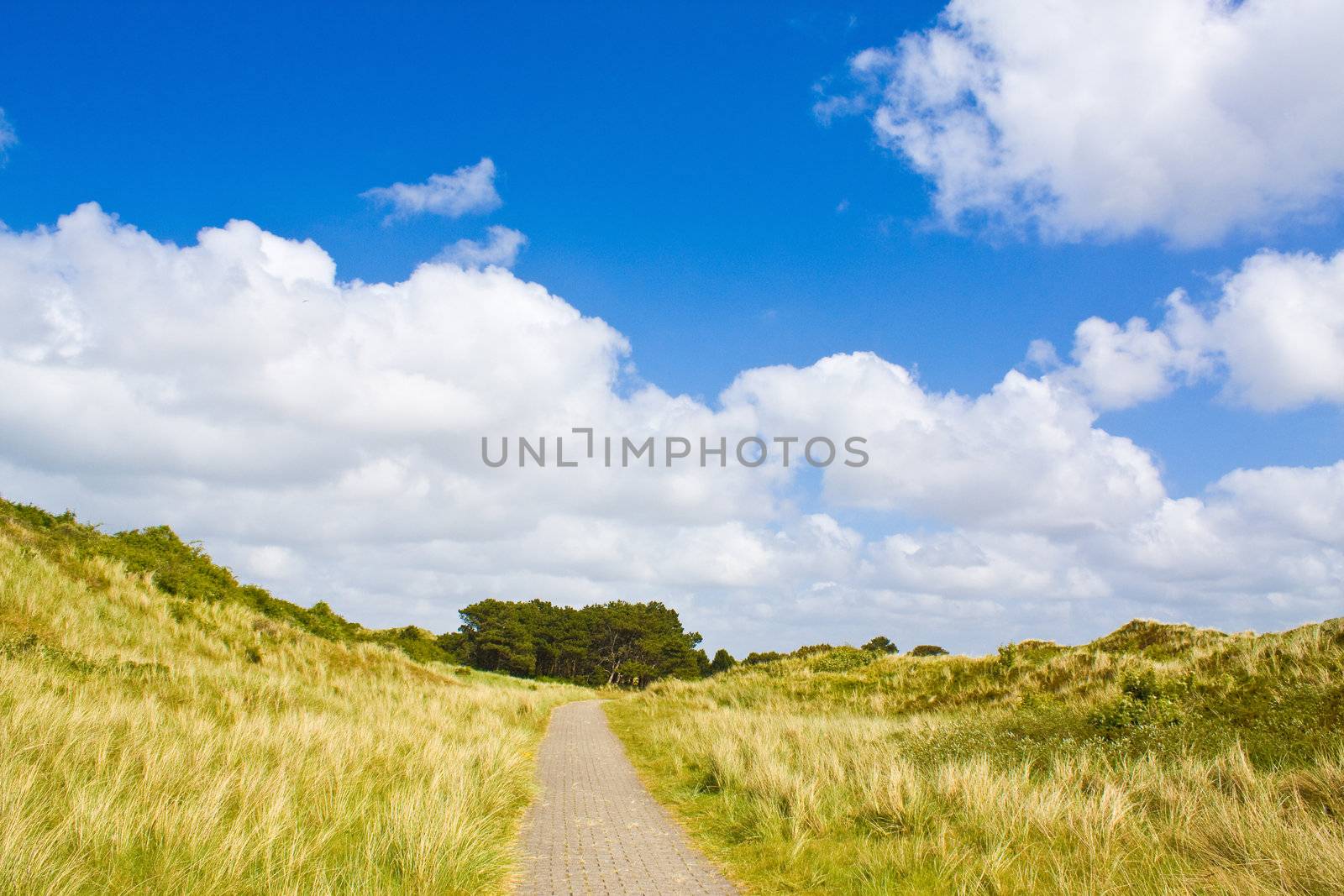 Dunes by juweber