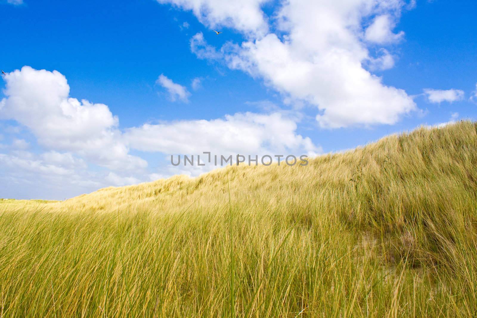 Dunes by juweber