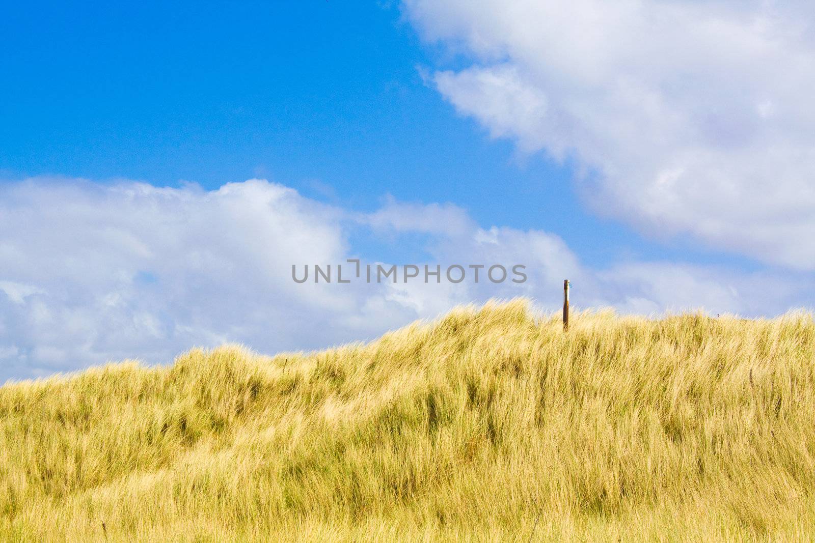 Dunes by juweber