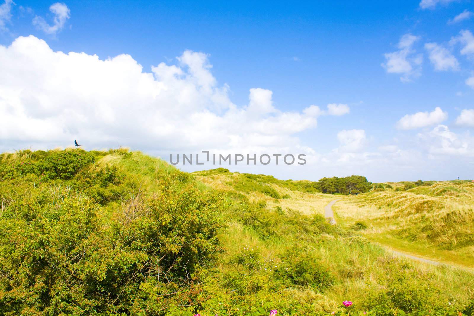 Dunes by juweber