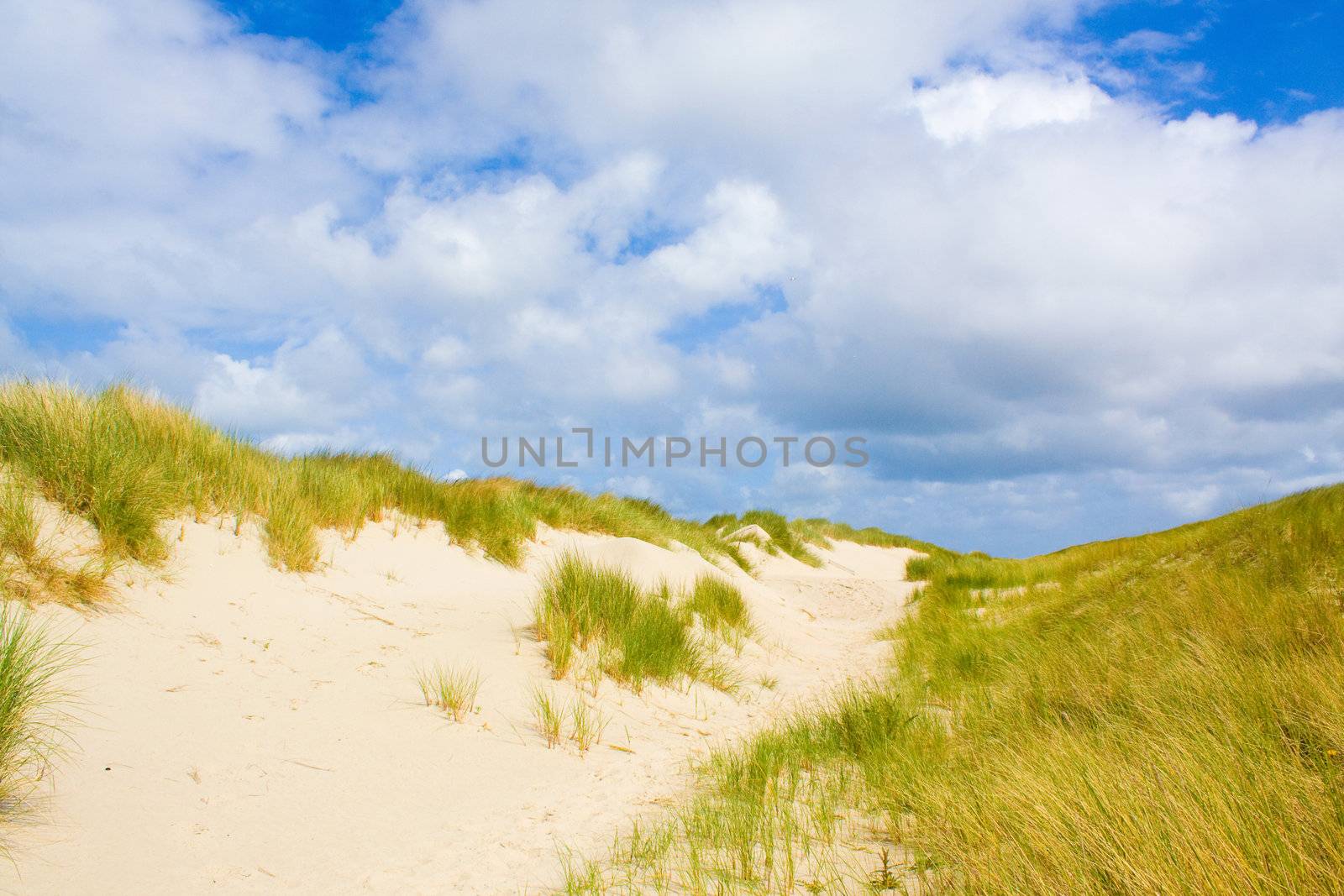 Dunes by juweber