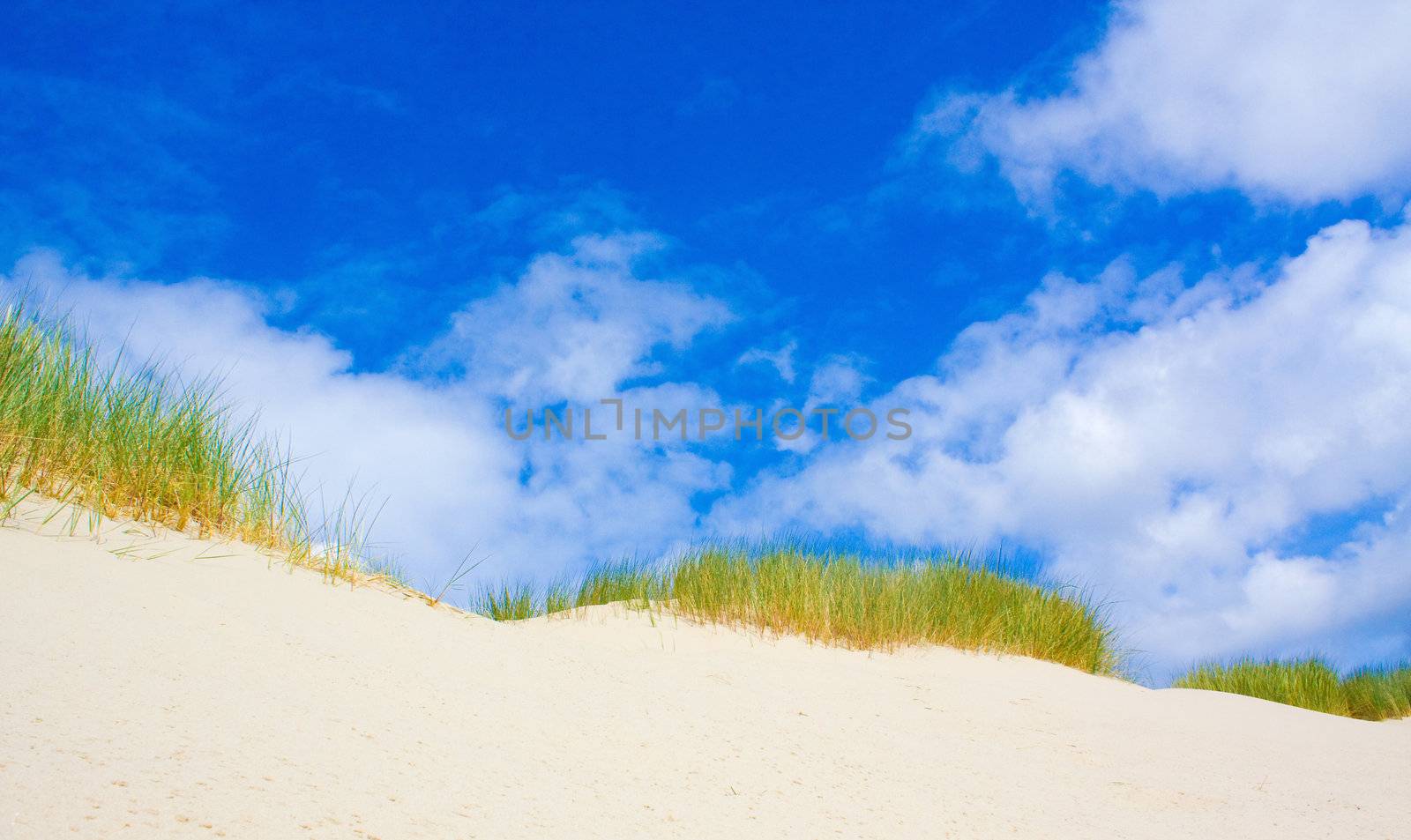 Dunes