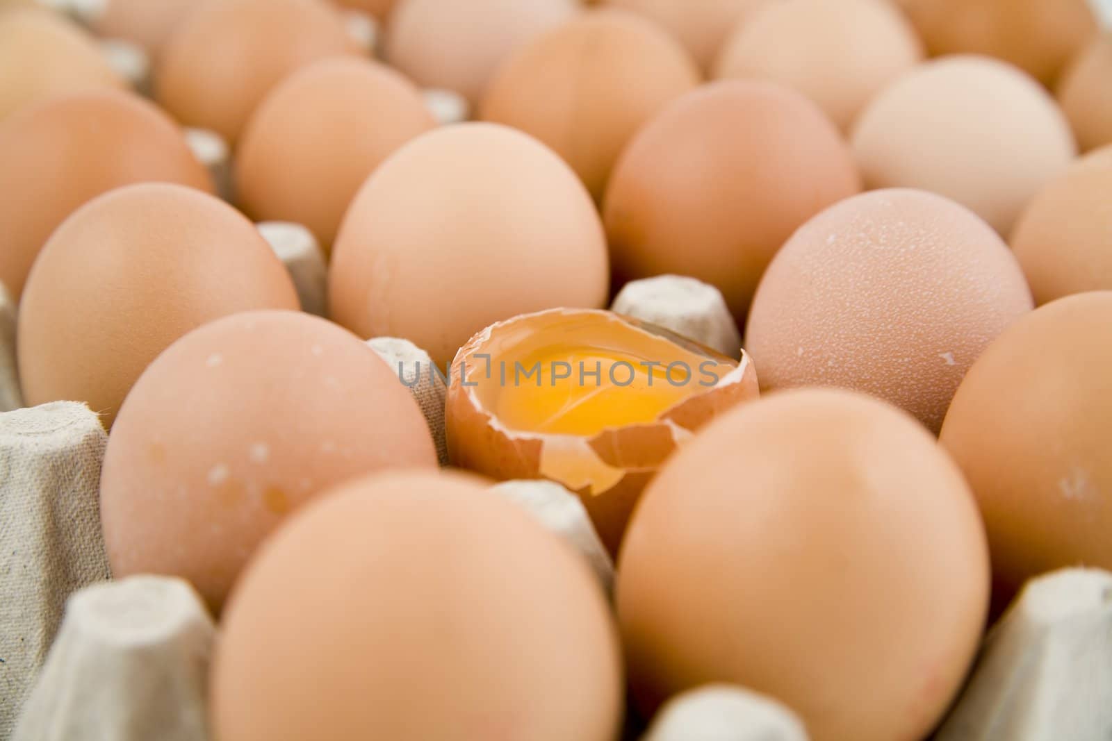 plenty of eggs with one egg opened