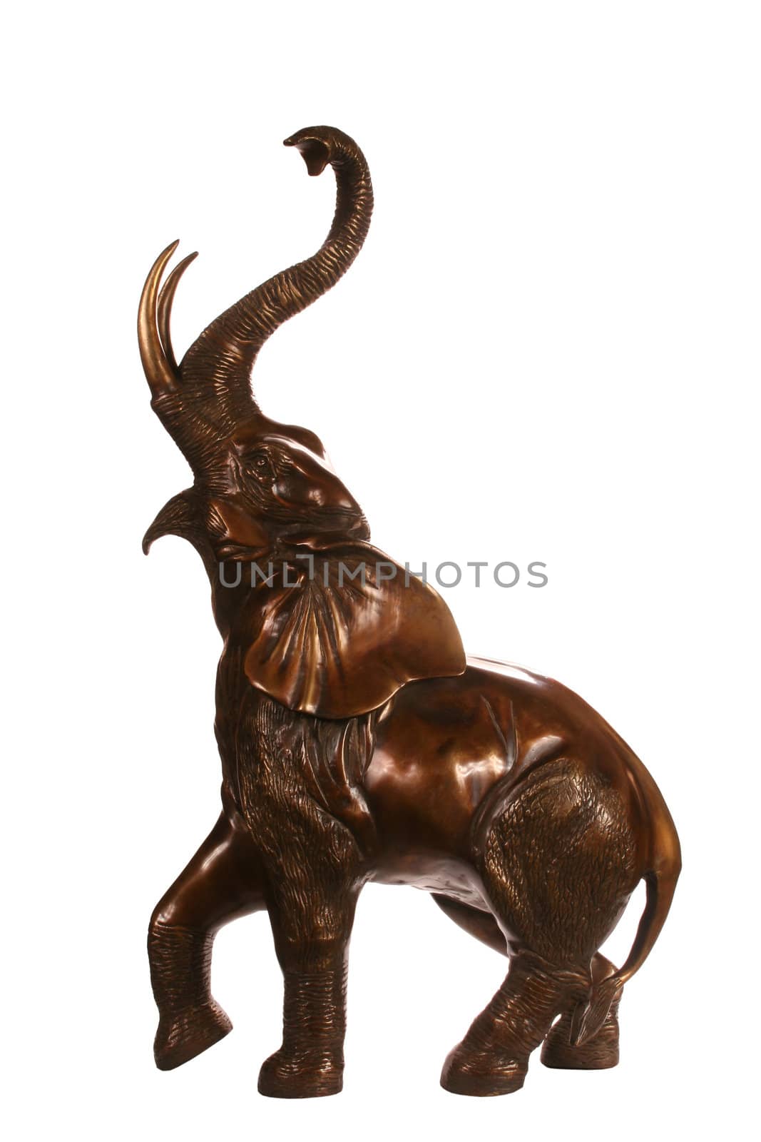 Realistic bronze sculpture of the Indian elephant
