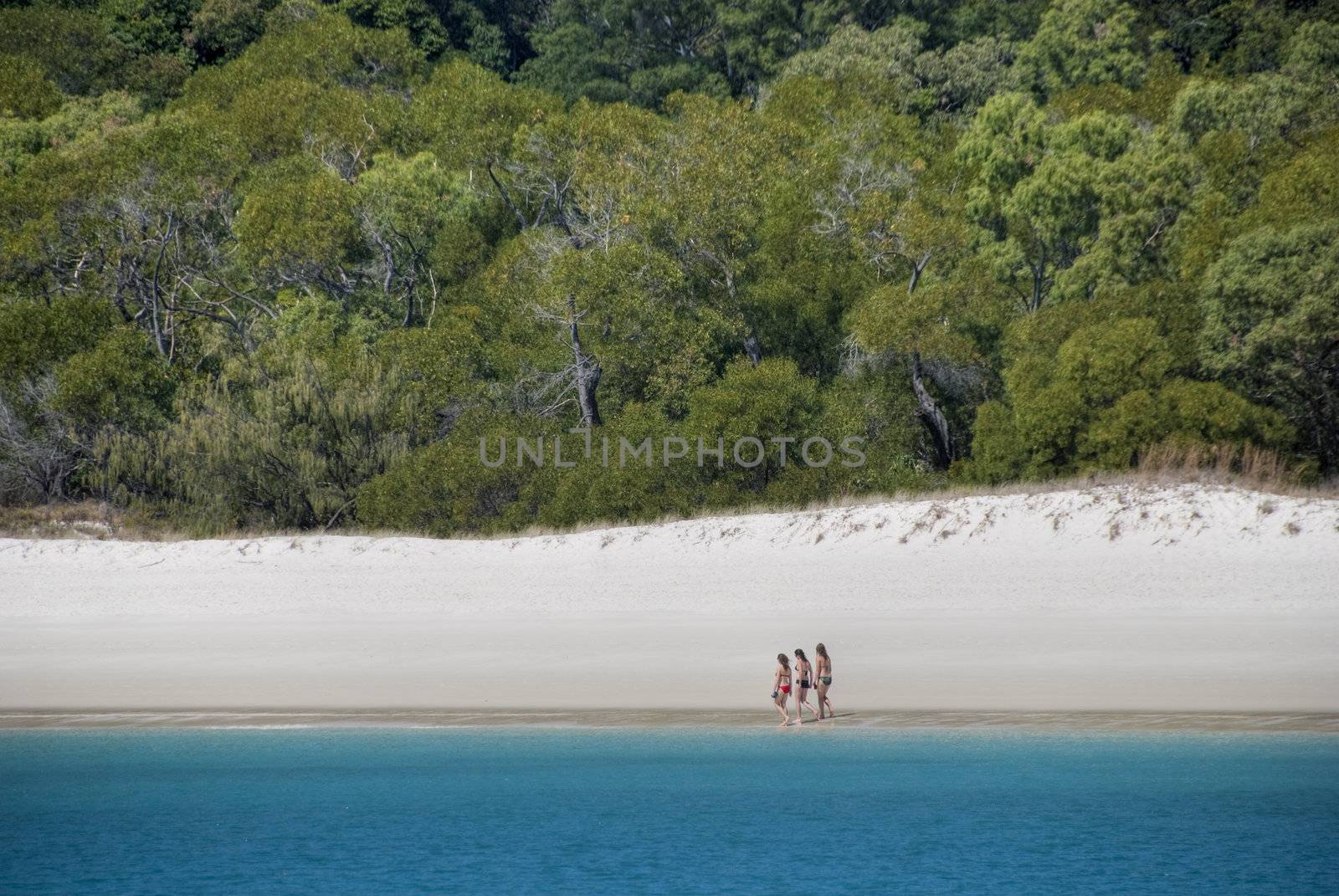 Three Girls wlking in Whitehaven Beach in the Whitsunday Islands