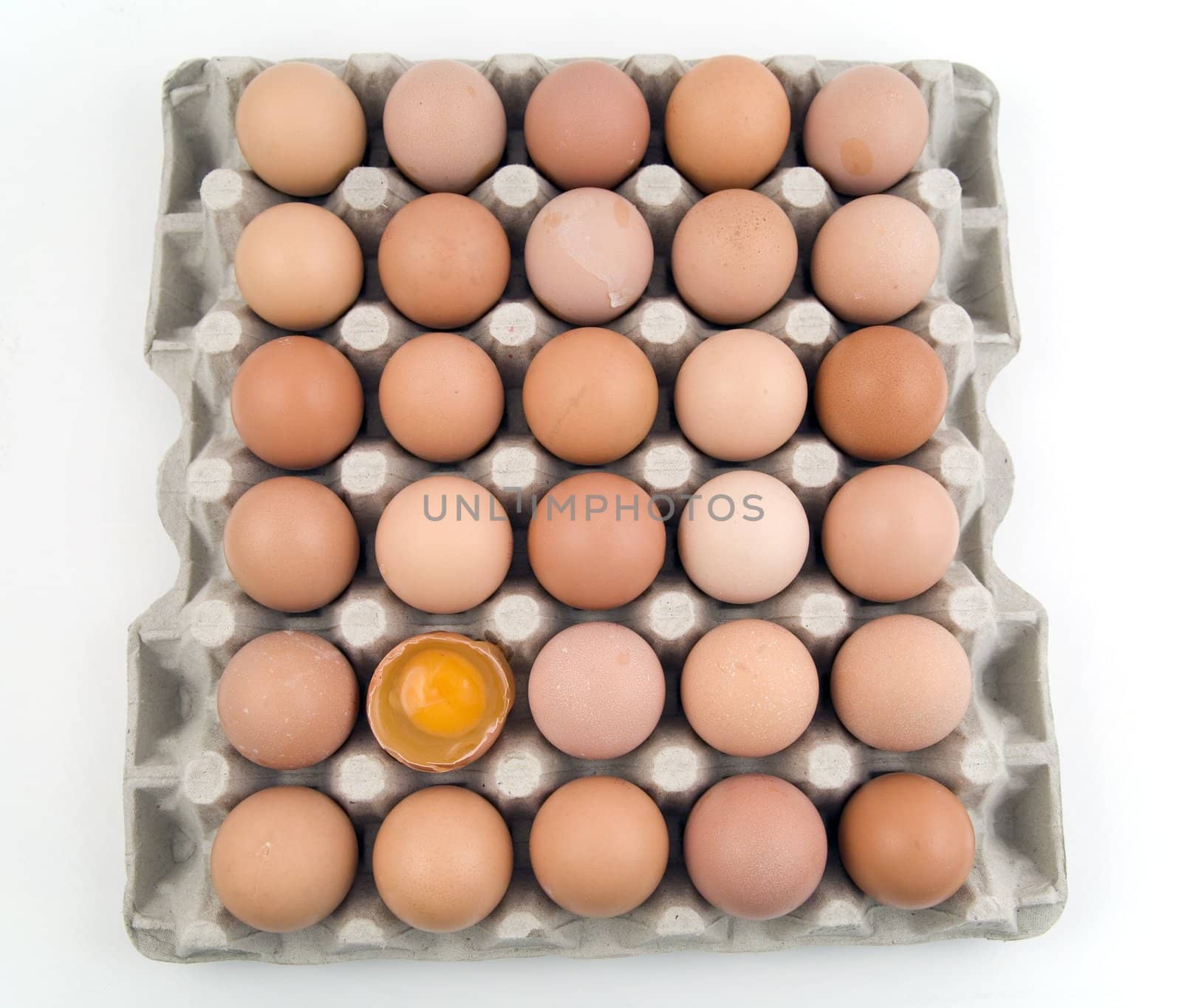 plenty of eggs with one opened egg