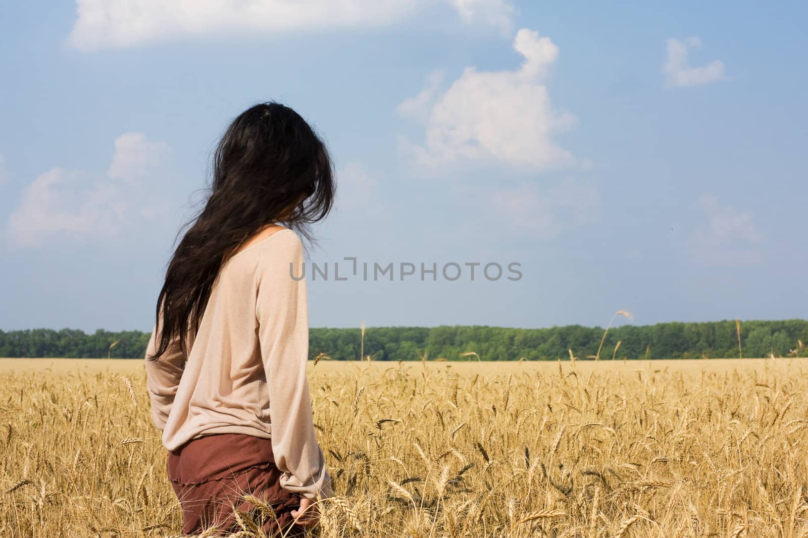 Hippie girl standing in wheat field rear view