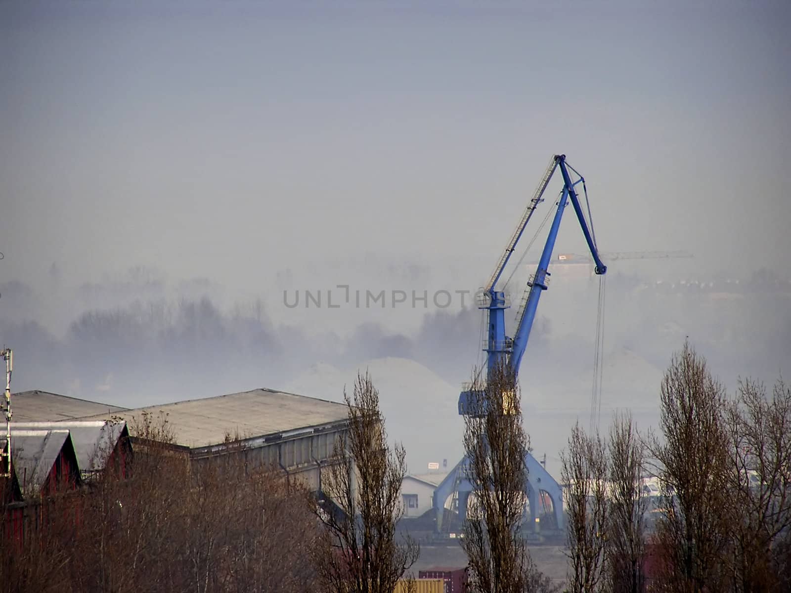 Blue crane at river port of Belgrade in foggy winter morning.