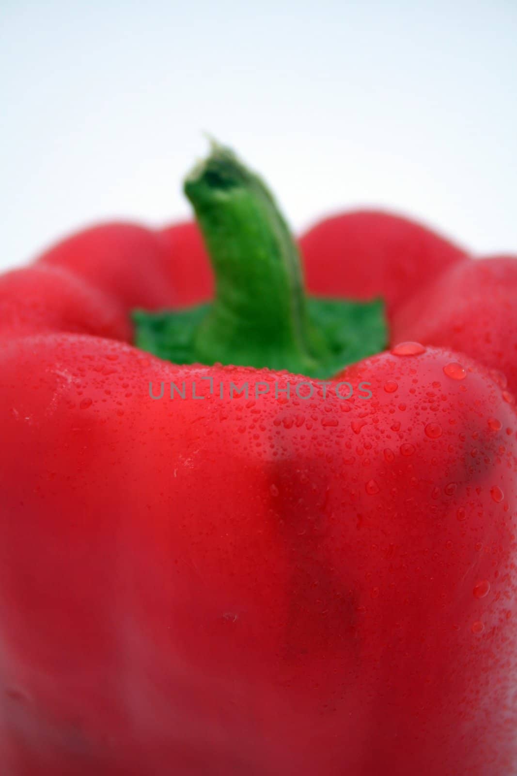 water drops on paprika 