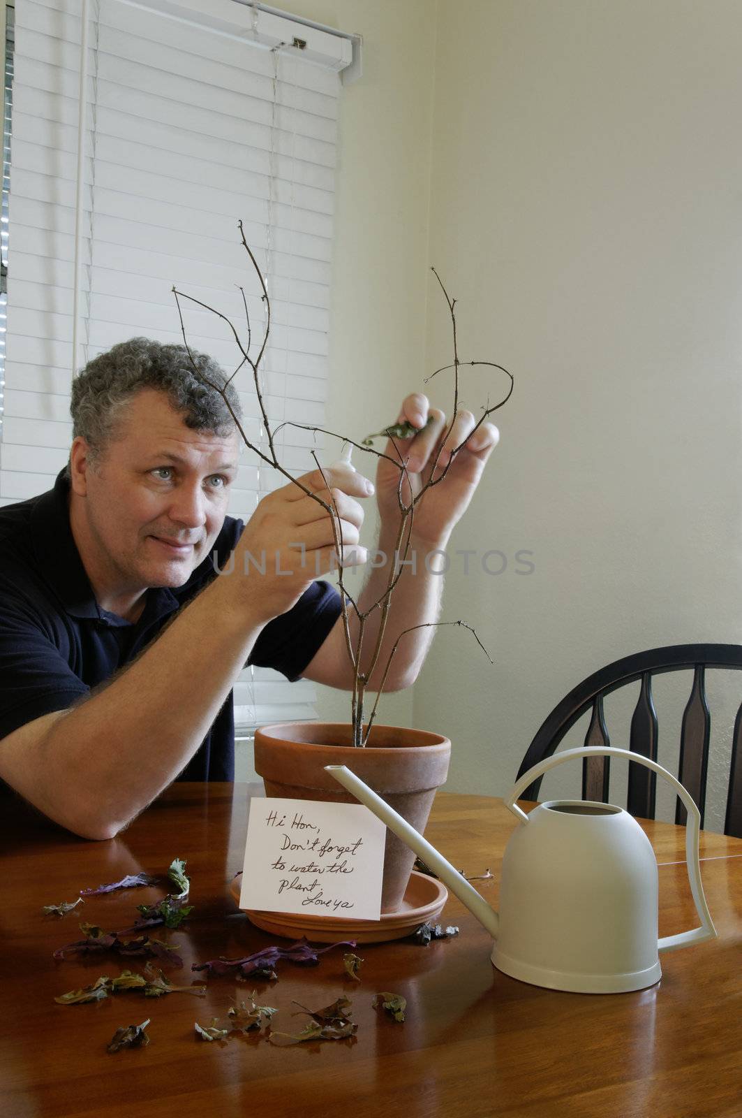 A man trying to glue a leaf to a plant that he forgot to water.