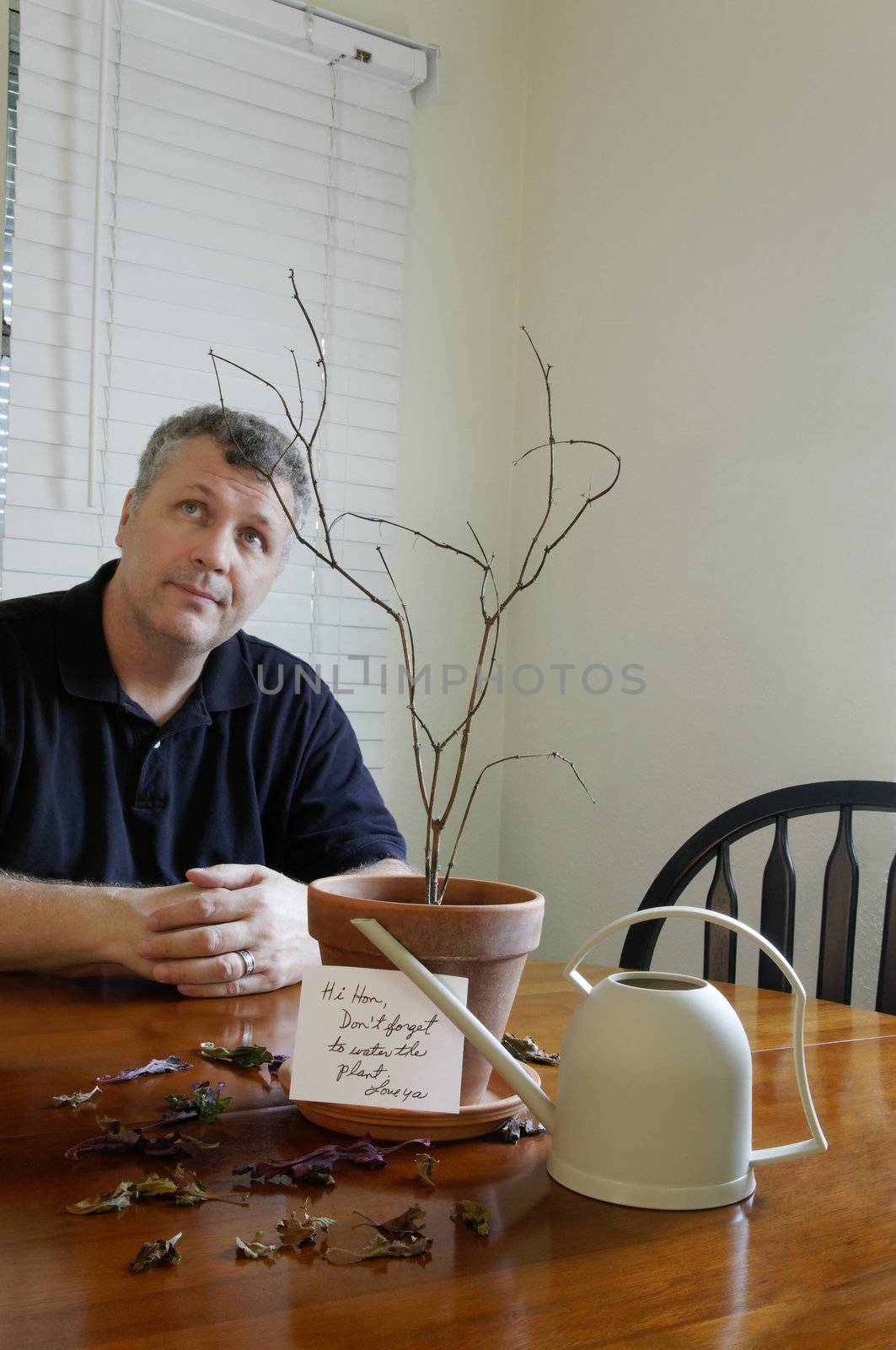 A man looking at the ceiling after realizing that he had forgotten to water his wife's plant.