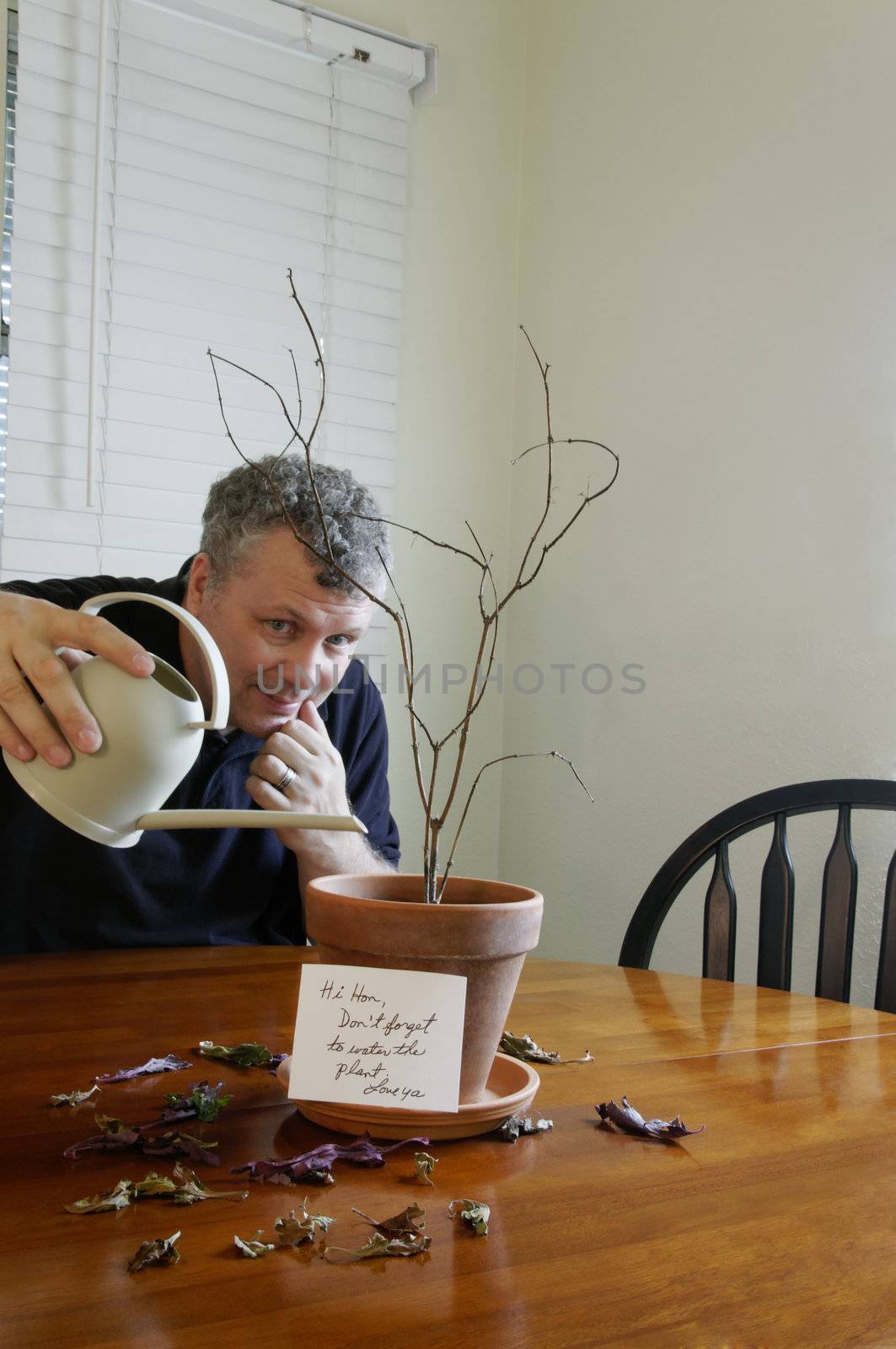 A man trying in vain to water his wife's dead plant after he forgot to water the plant.