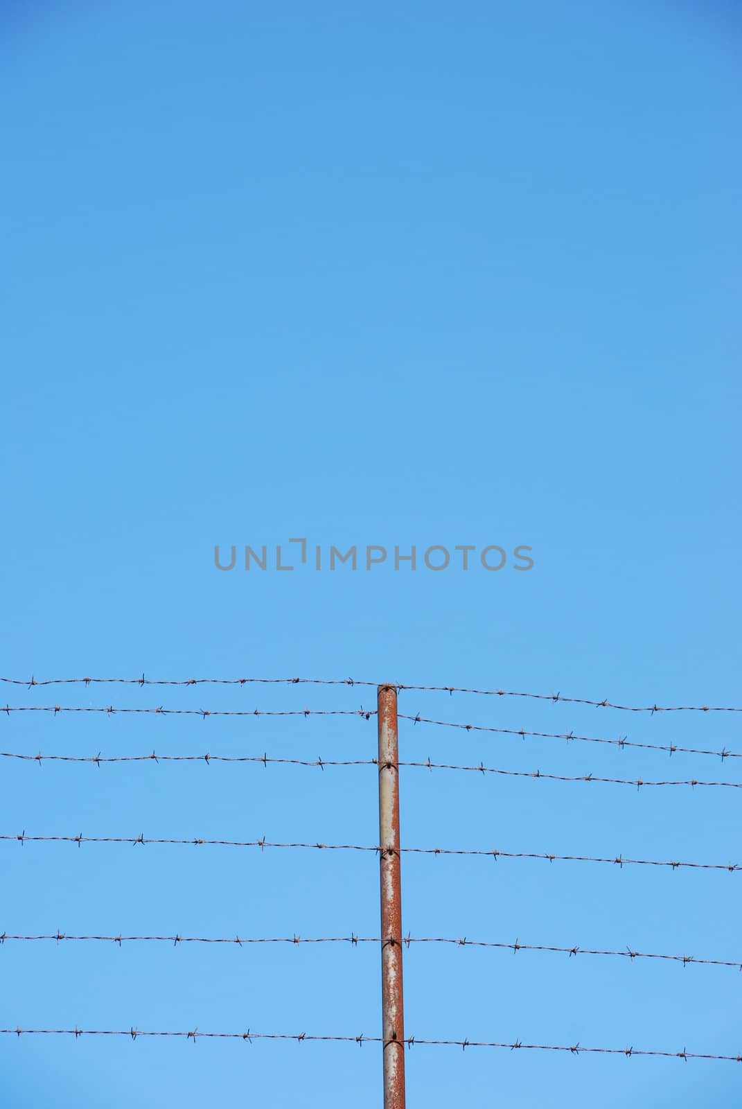 photo of barbed wire with plenty blue sky space