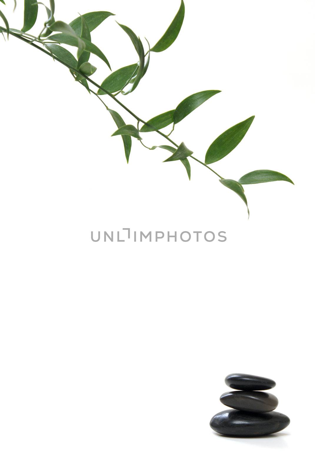 A stack of stones and a branch of leaves isolated on white.