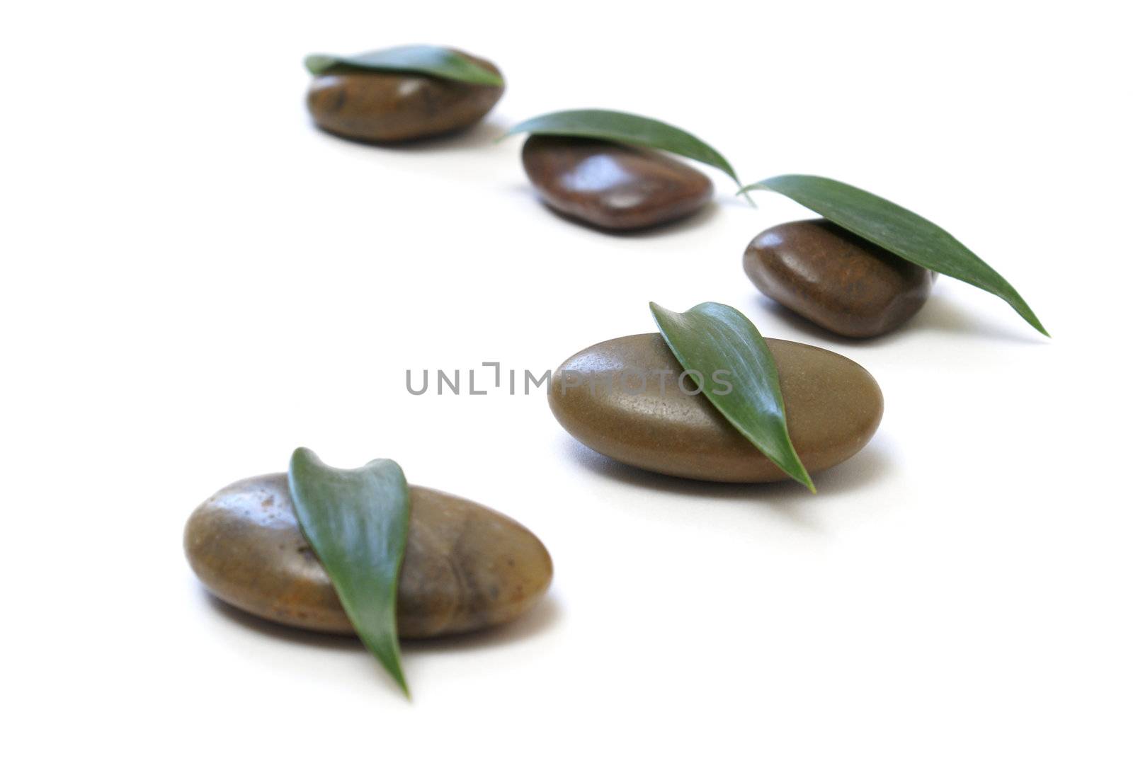 Many smooth stones with leaves on them in a peaceful arrangement.