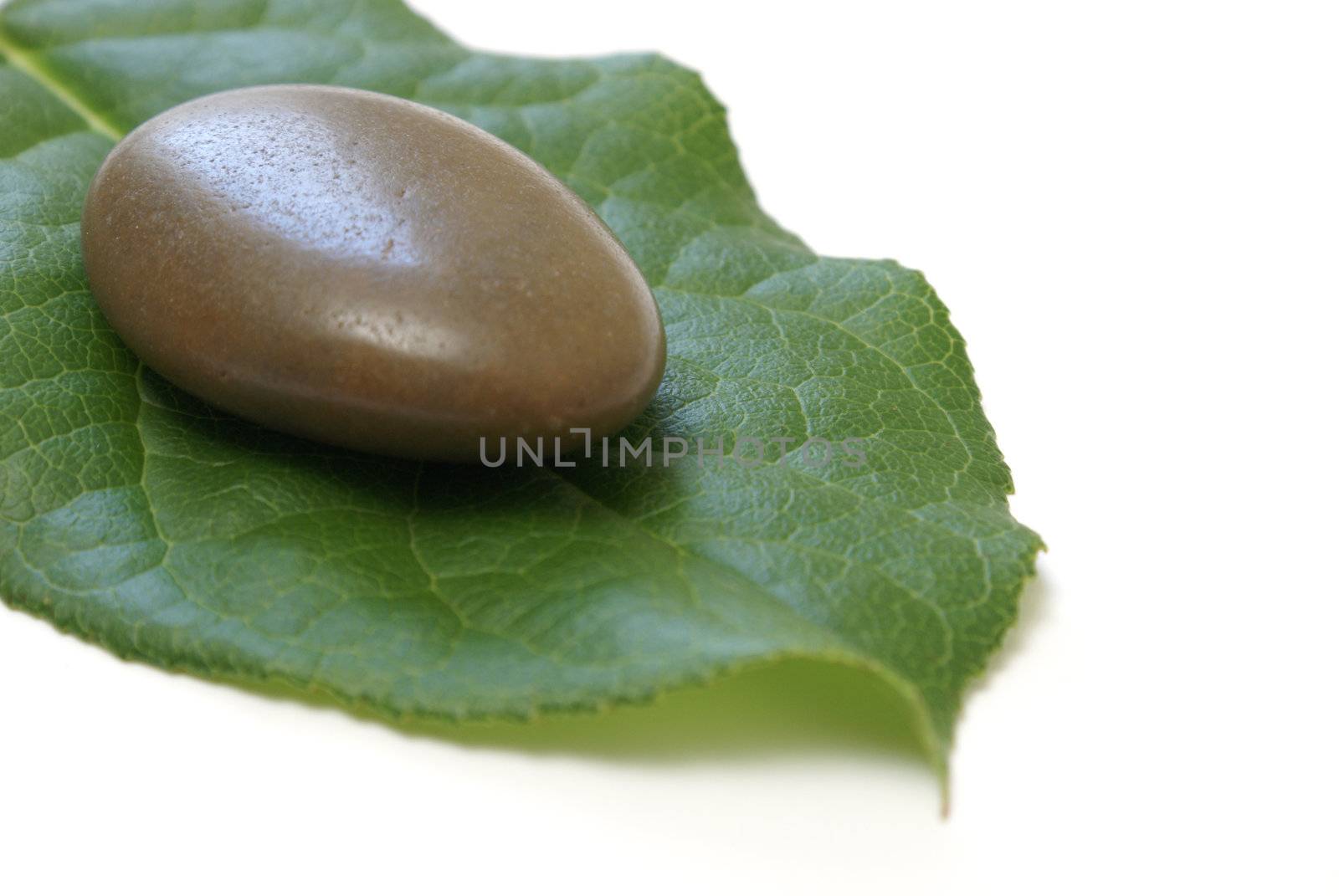 A smooth stone on a fresh green leaf.