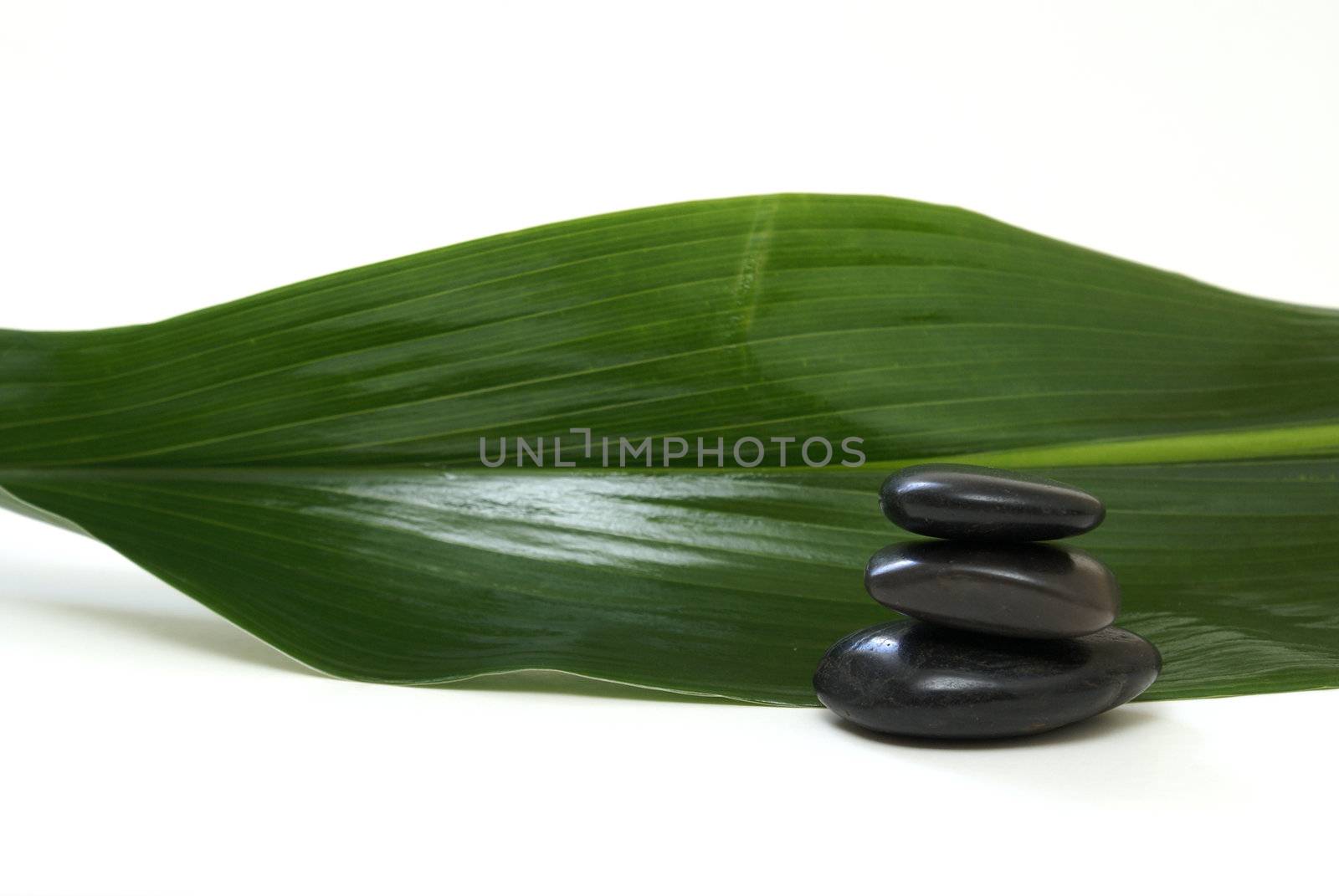 A large green leaf with a stack of stones in front of it.