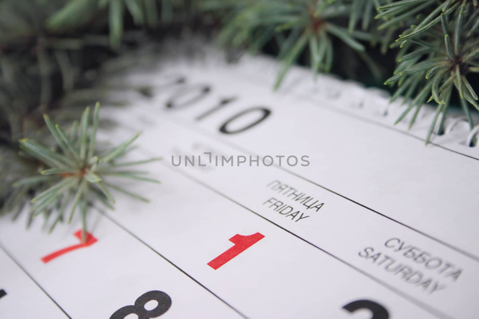 Calendar with date January, first, 2010 against fur-tree branches