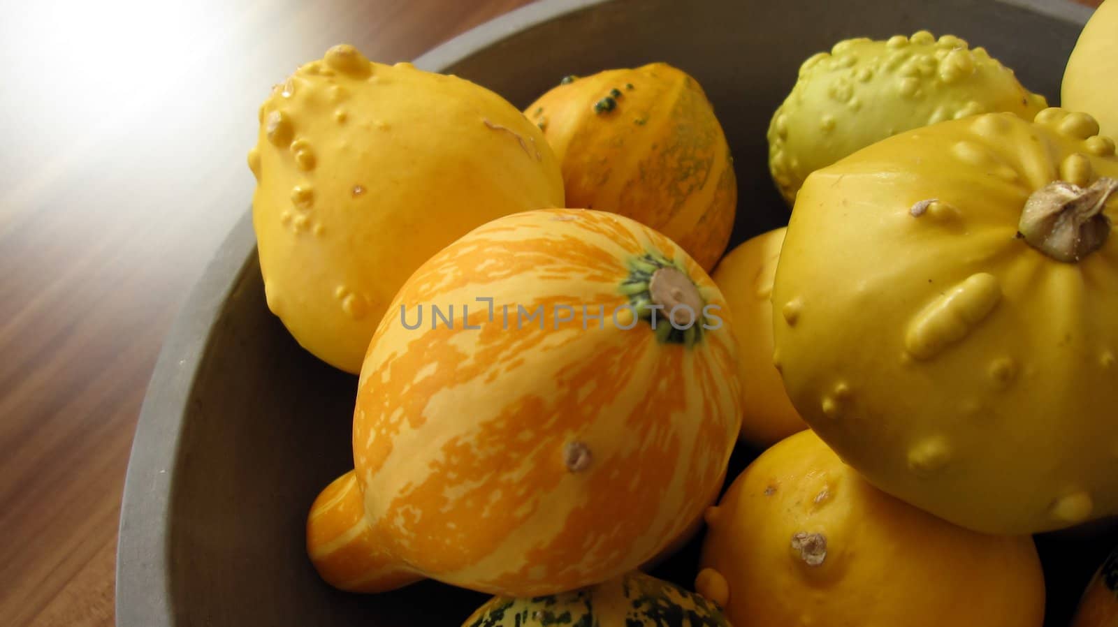 any marrows as still life on a wooden table