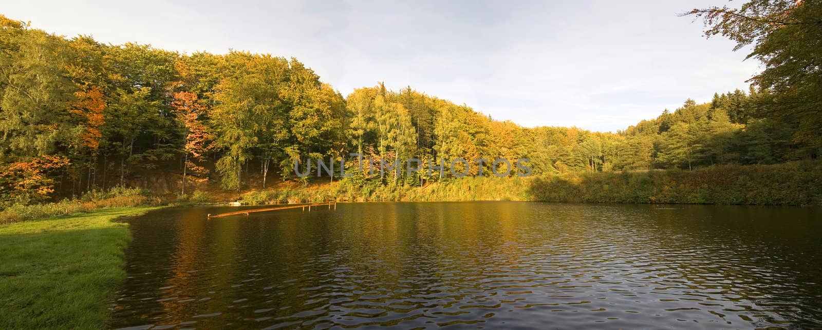 panorama of autumn trees behind a pond