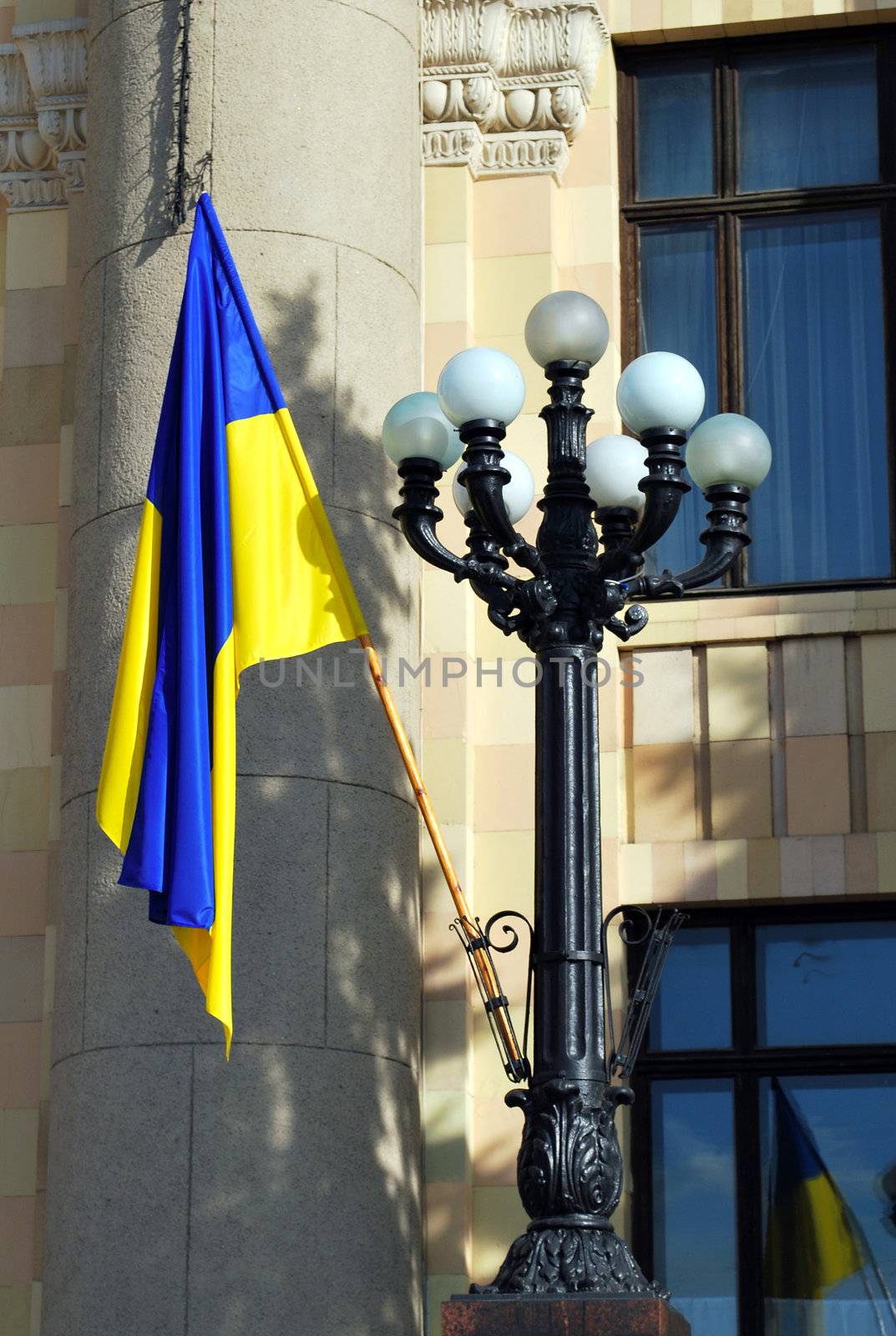 Ukrainian National Flag