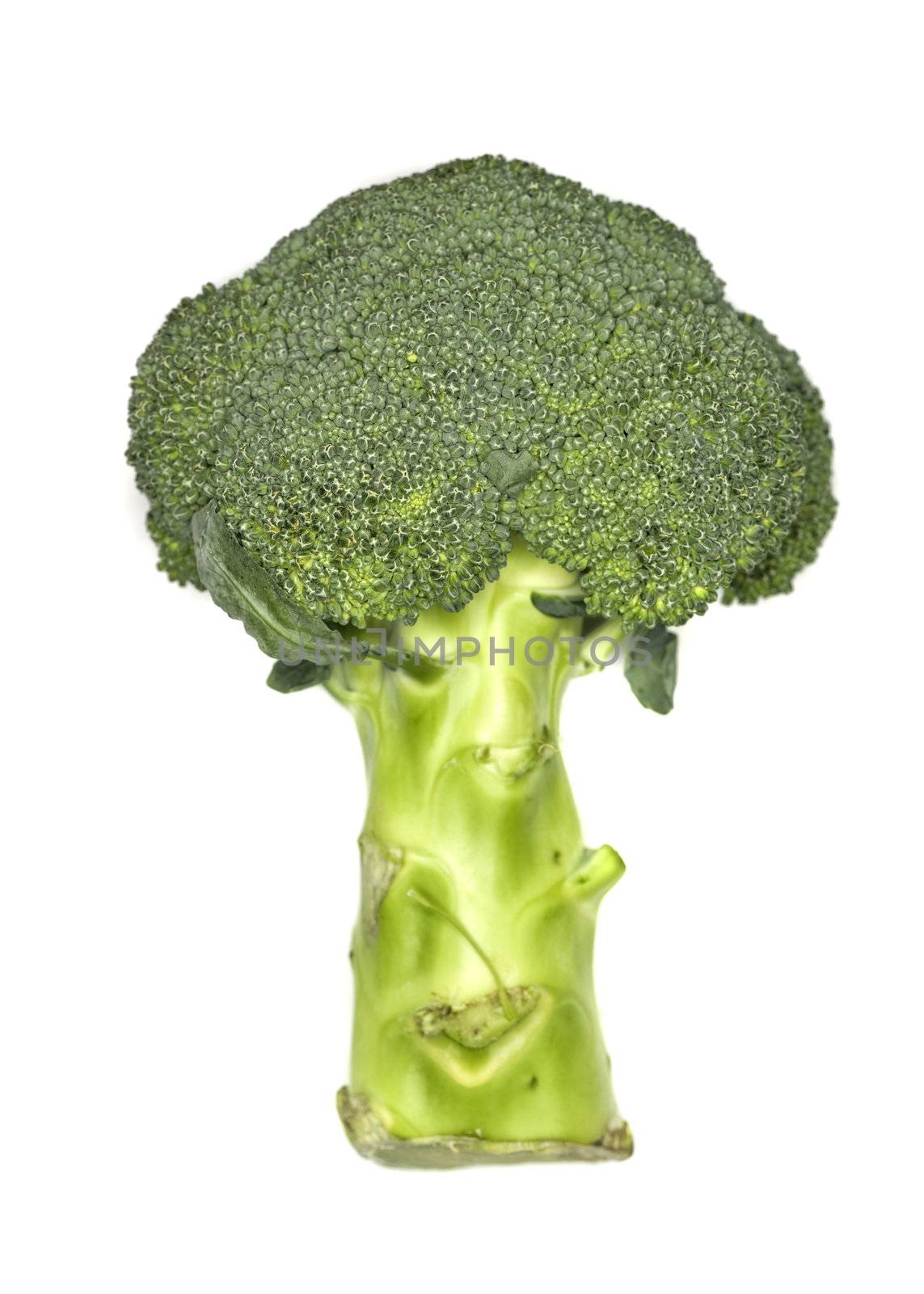 Fresh broccoli by gemenacom